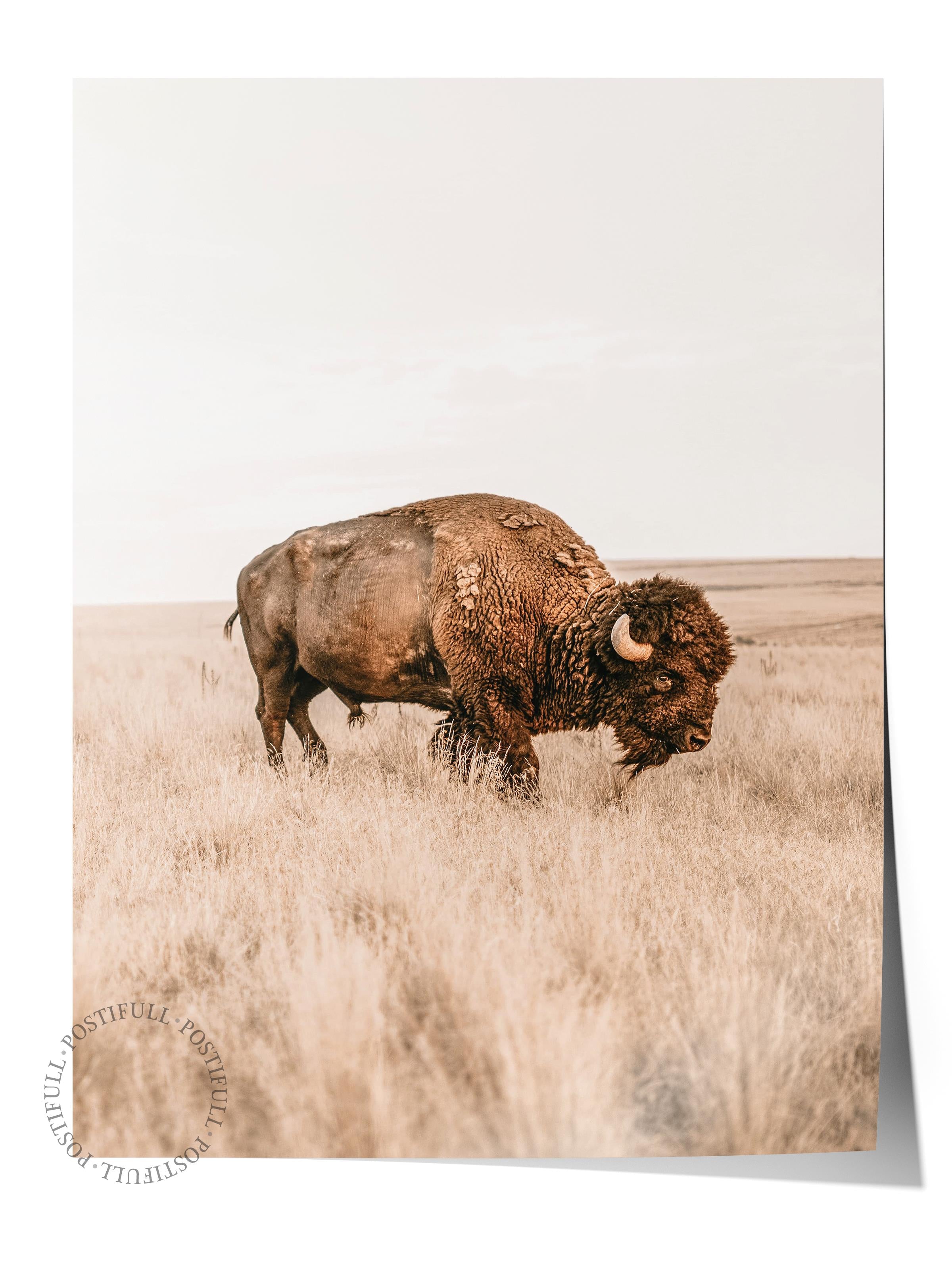 Rustic Çerçevesiz Poster, İskandinav Kahverengi Poster, NO:380 Bison Fotoğraf, Dikey