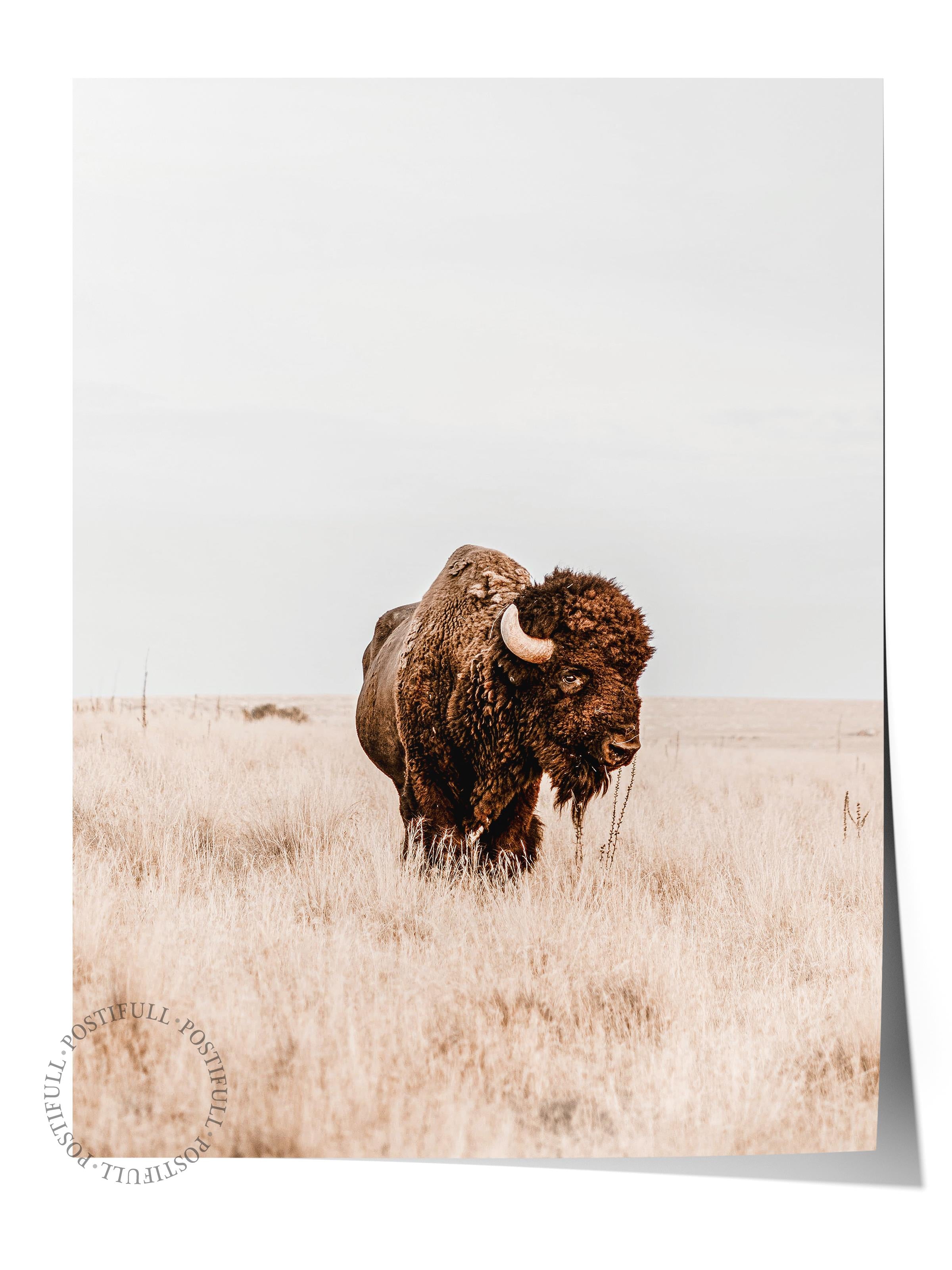 Rustic Çerçevesiz Poster, İskandinav Kahverengi Poster, NO:382 Bison Fotoğraf, Dikey