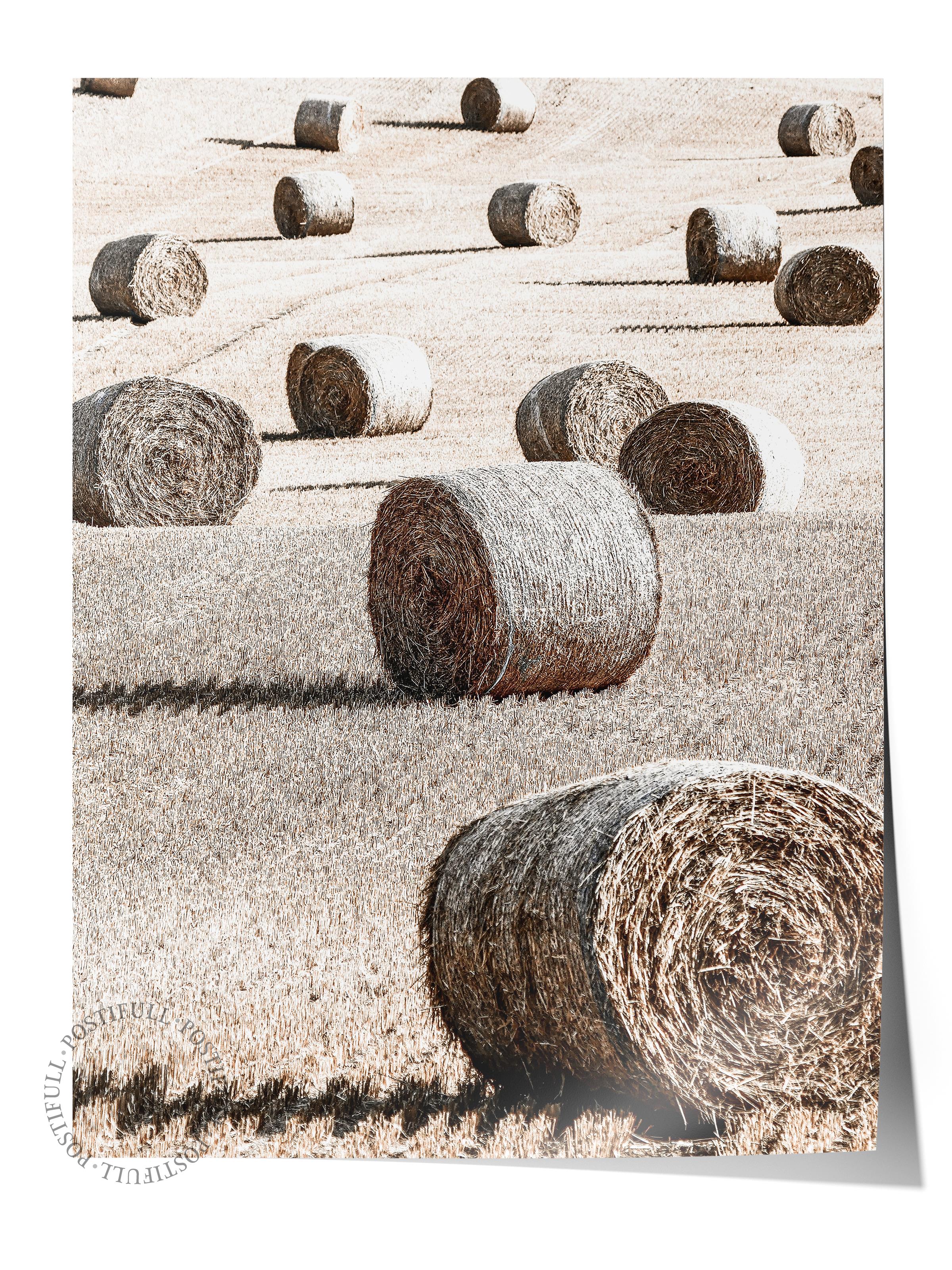 Rustic Çerçevesiz Poster, İskandinav Kahverengi Poster, NO:383 Saman Balyaları Fotoğraf, Dikey