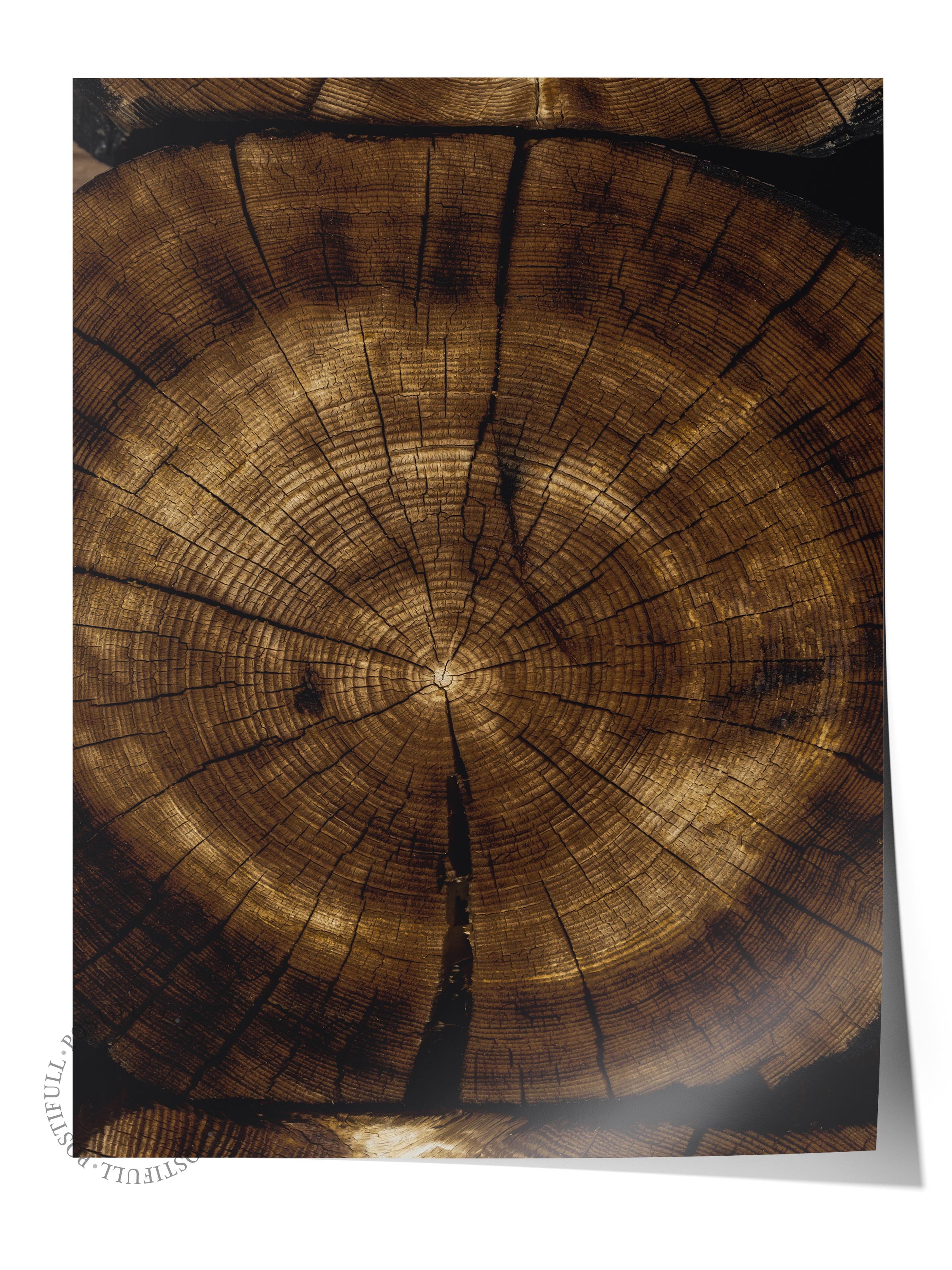 Rustic Çerçevesiz Poster, İskandinav Kahverengi Poster, NO:39 Ağaç Kesiti 1 Fotoğraf, Dikey