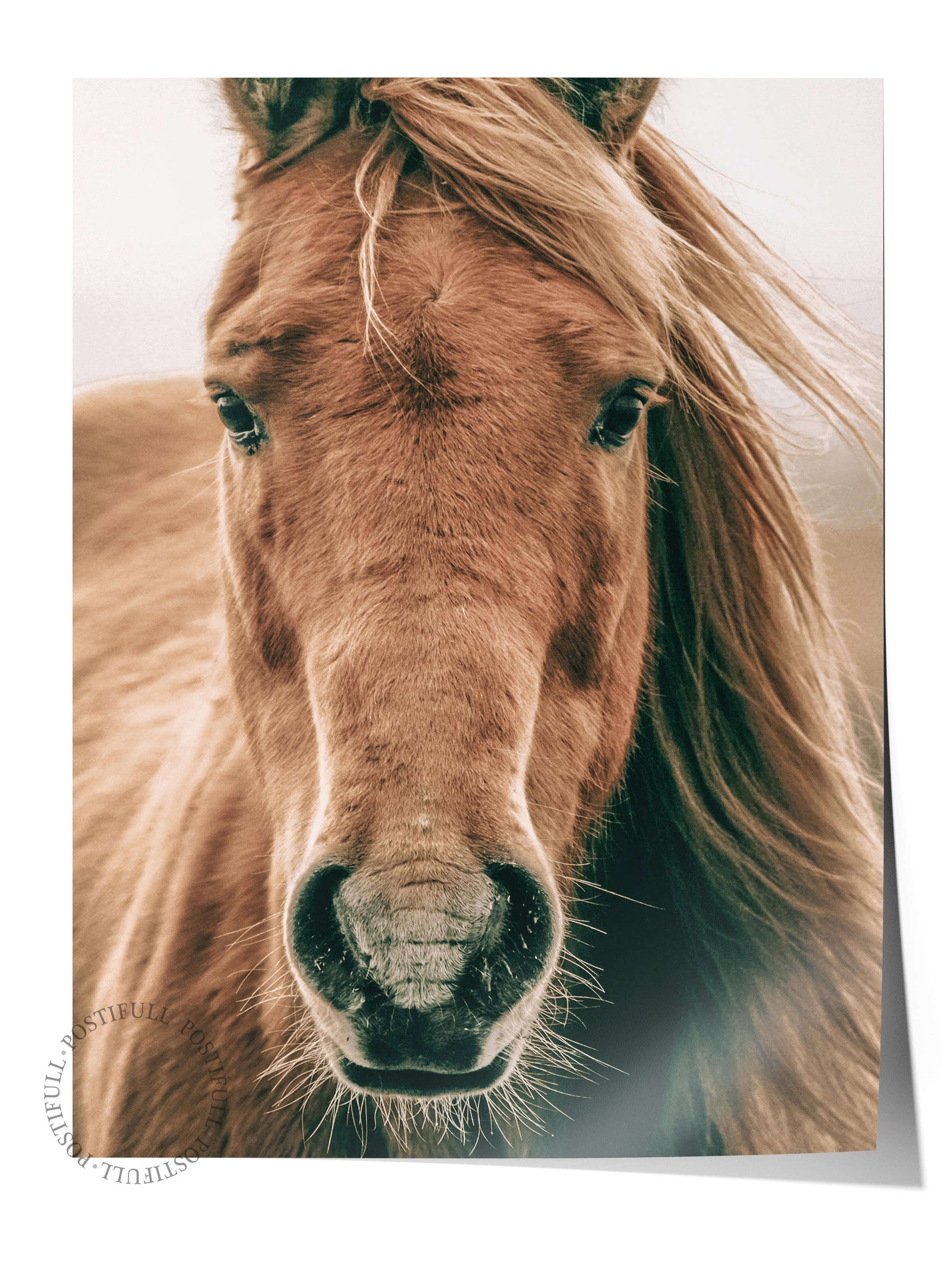 Rustic Çerçevesiz Poster, İskandinav Kahverengi Poster, NO:398 At Fotoğraf