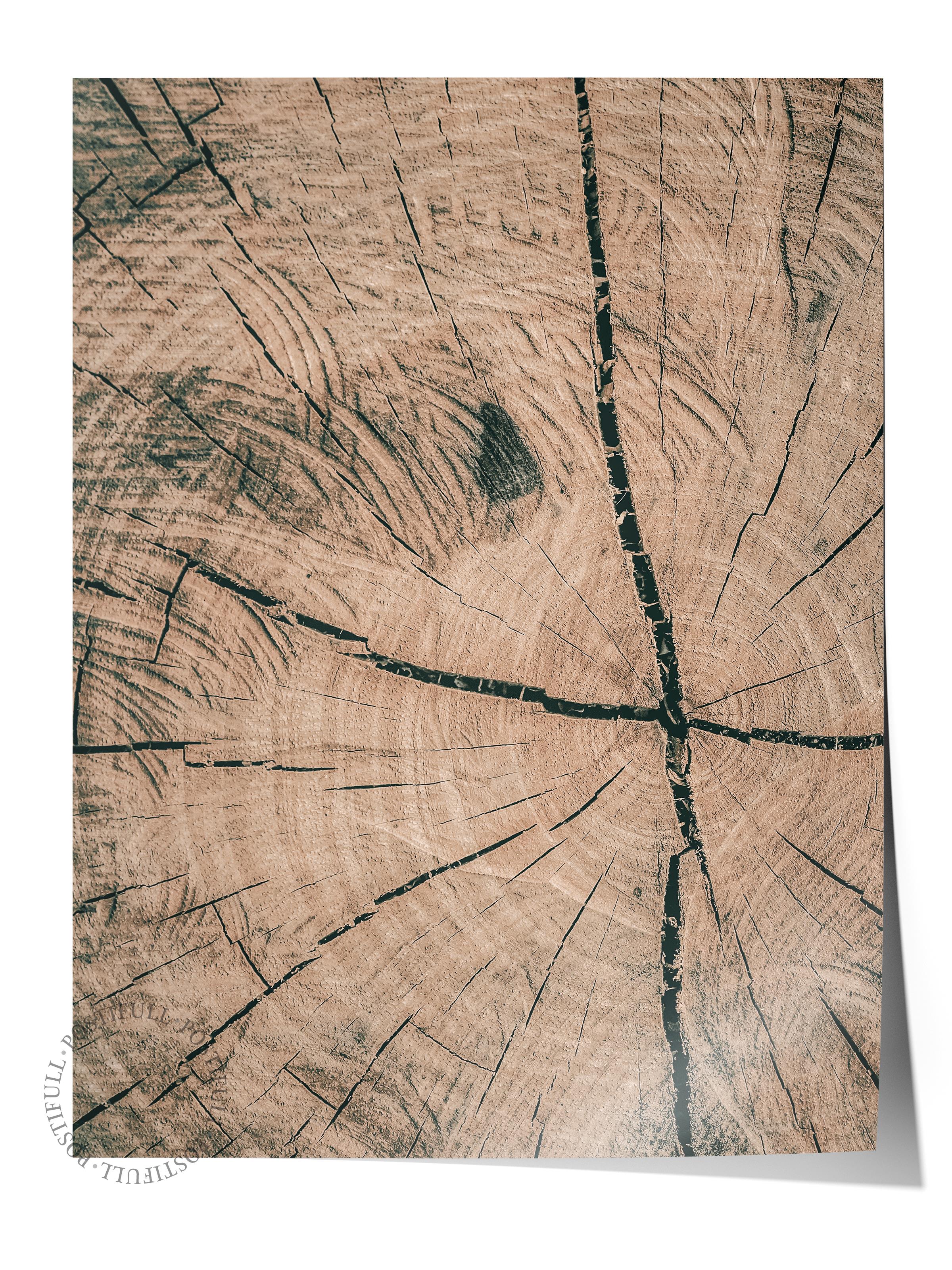 Rustic Çerçevesiz Poster, İskandinav Kahverengi Poster, NO:403 Ağaç Kabuğu Fotoğraf