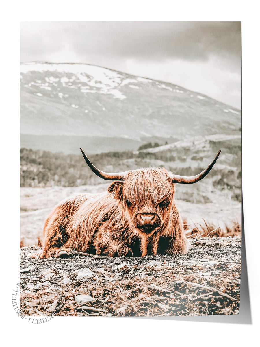 Dağların Önünde Yatan Dağ İneği Rustic Çerçevesiz Poster