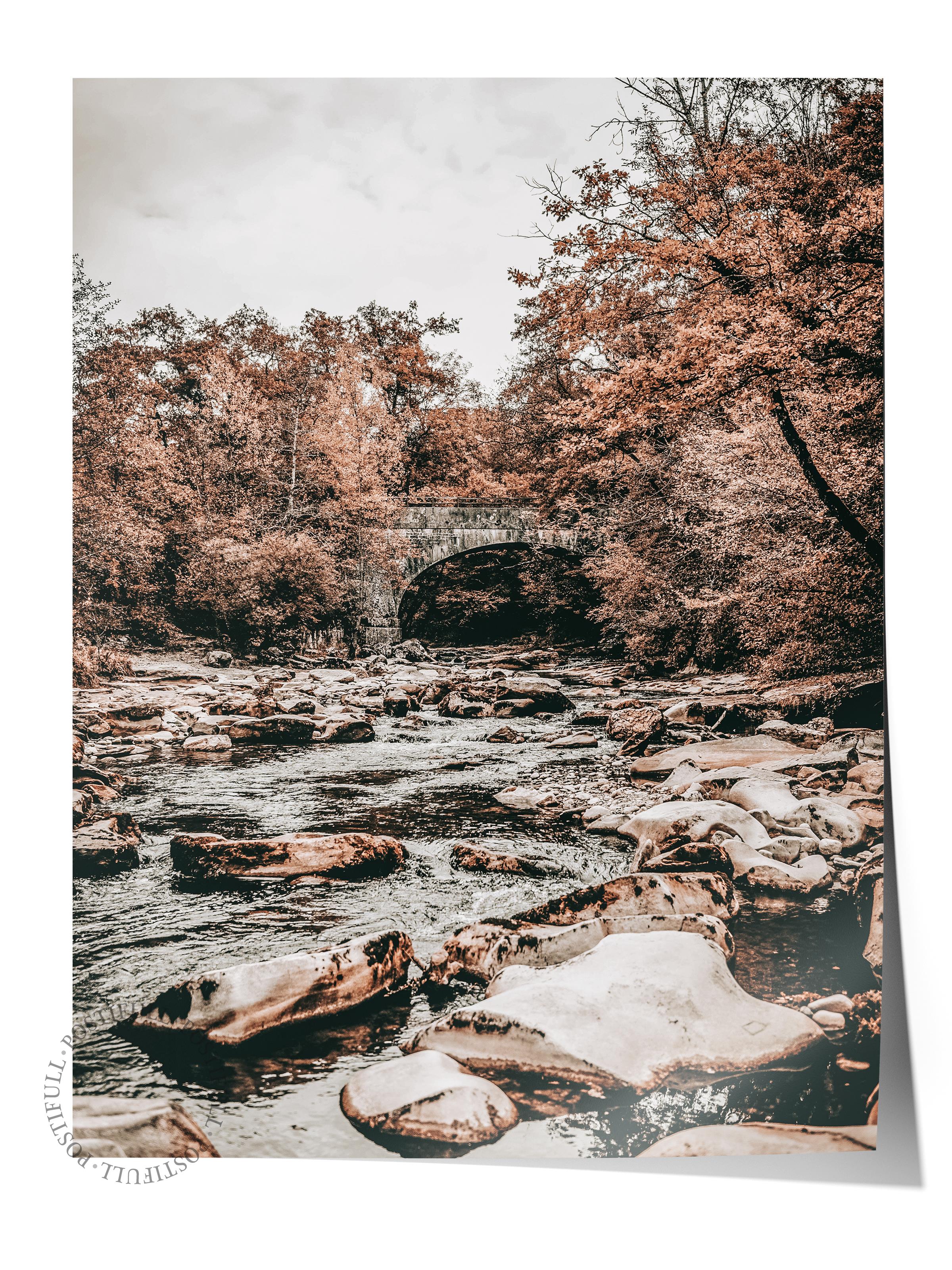 Rustic Çerçevesiz Poster, İskandinav Kahverengi Poster, NO:411 Nehir ve Ağaçlar Fotoğraf