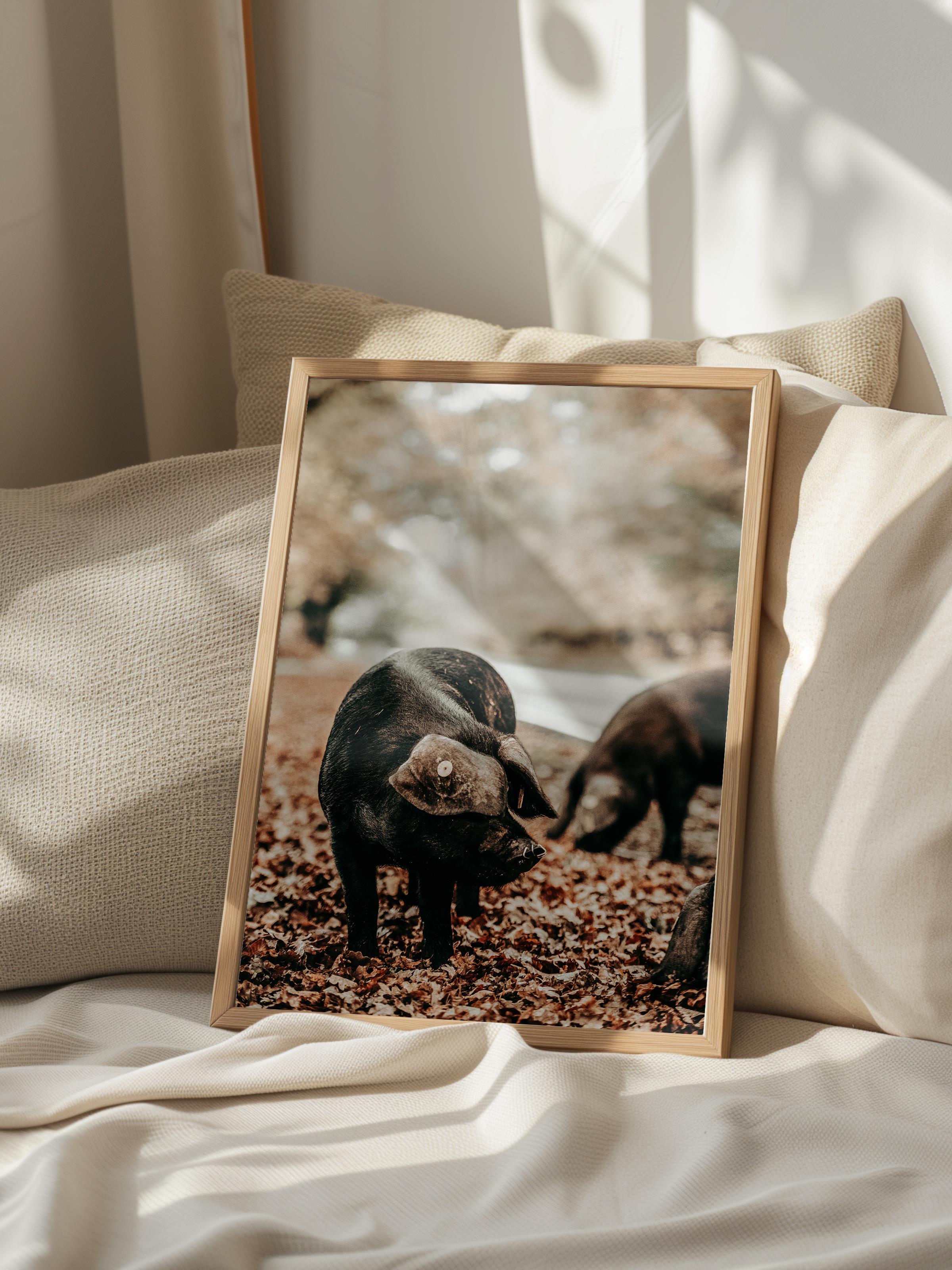 Rustic Çerçevesiz Poster, İskandinav Kahverengi Poster, NO:417 Domuzlar Fotoğraf