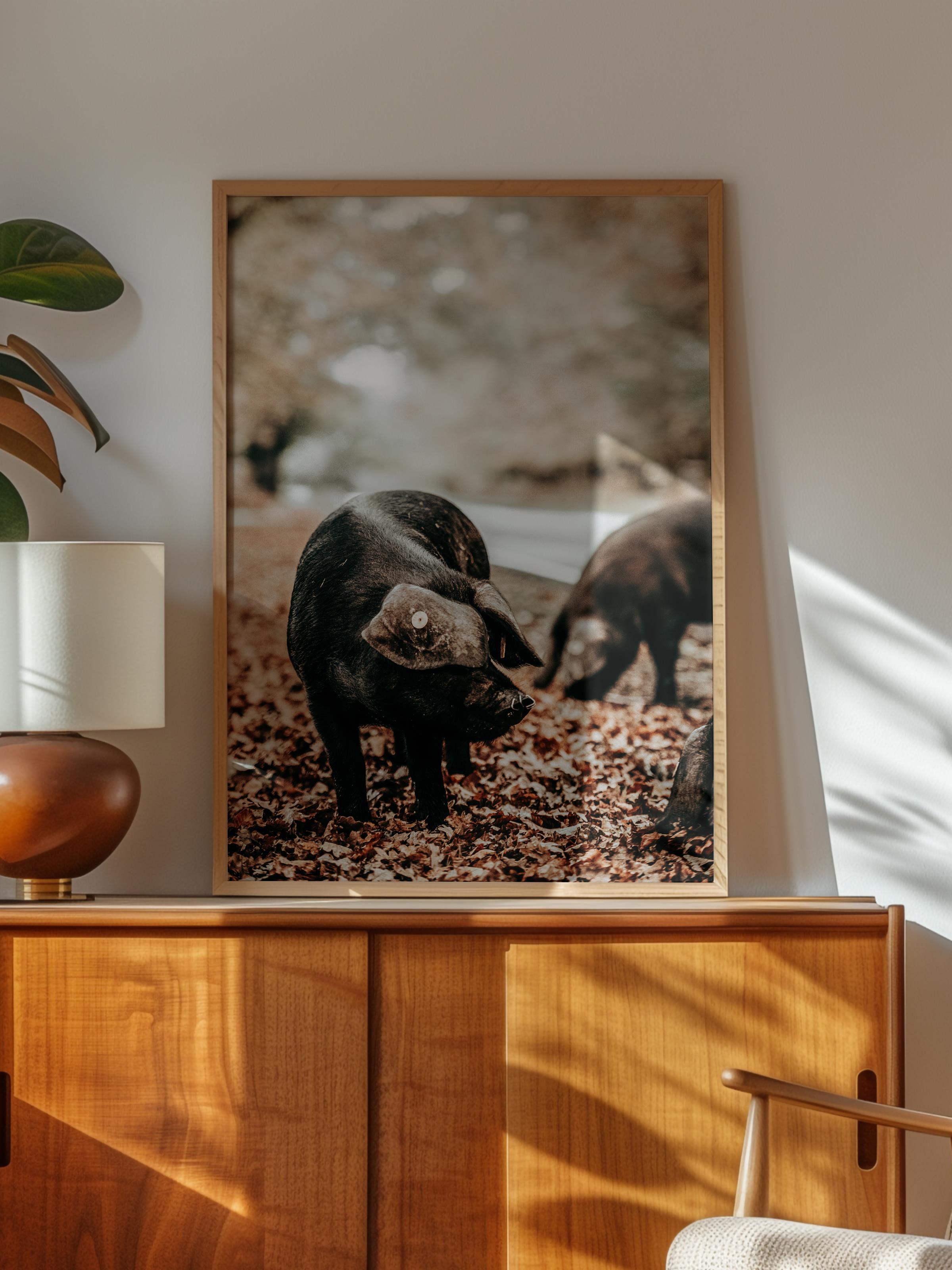 Rustic Çerçevesiz Poster, İskandinav Kahverengi Poster, NO:417 Domuzlar Fotoğraf