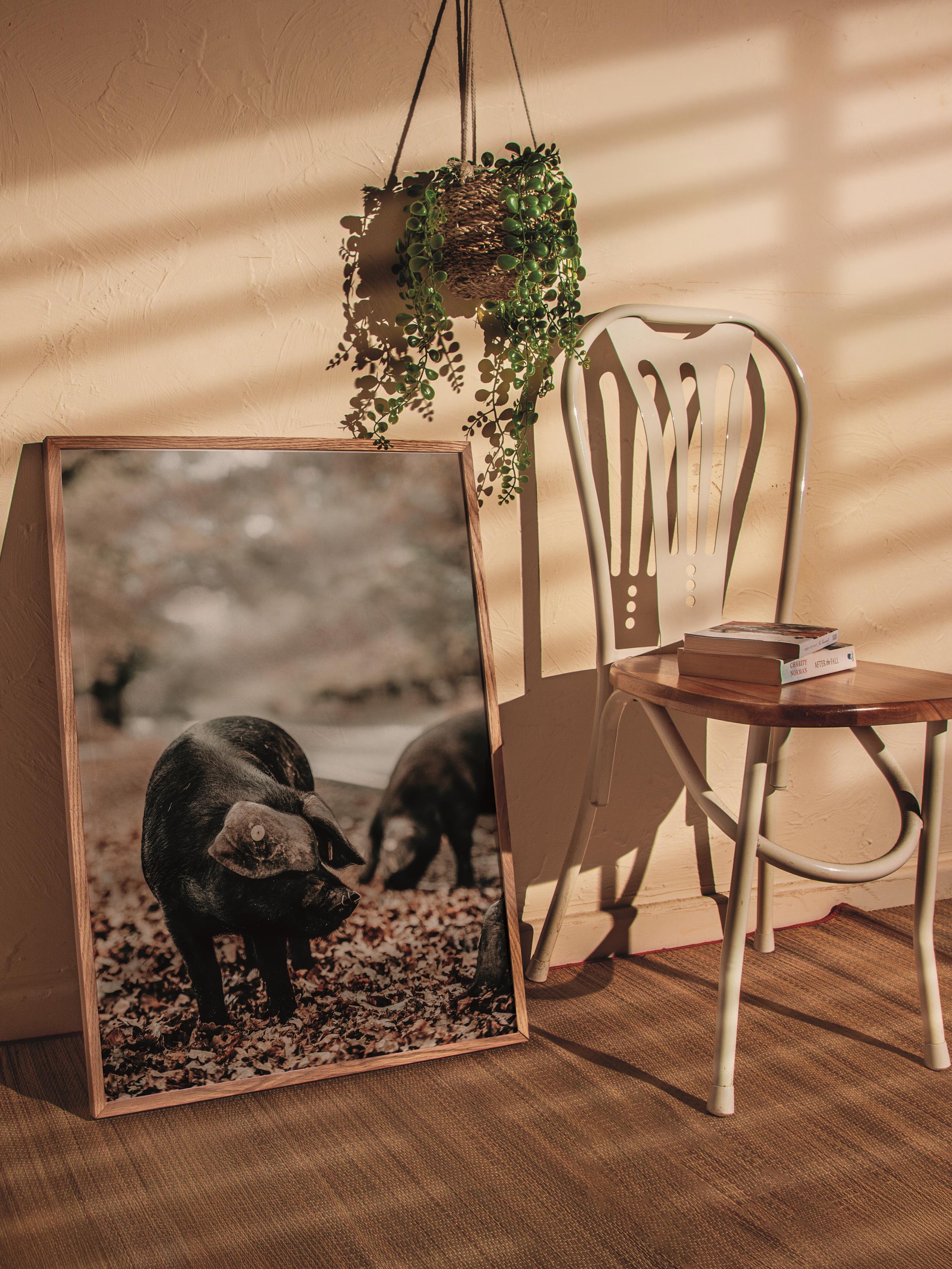 Rustic Çerçevesiz Poster, İskandinav Kahverengi Poster, NO:417 Domuzlar Fotoğraf