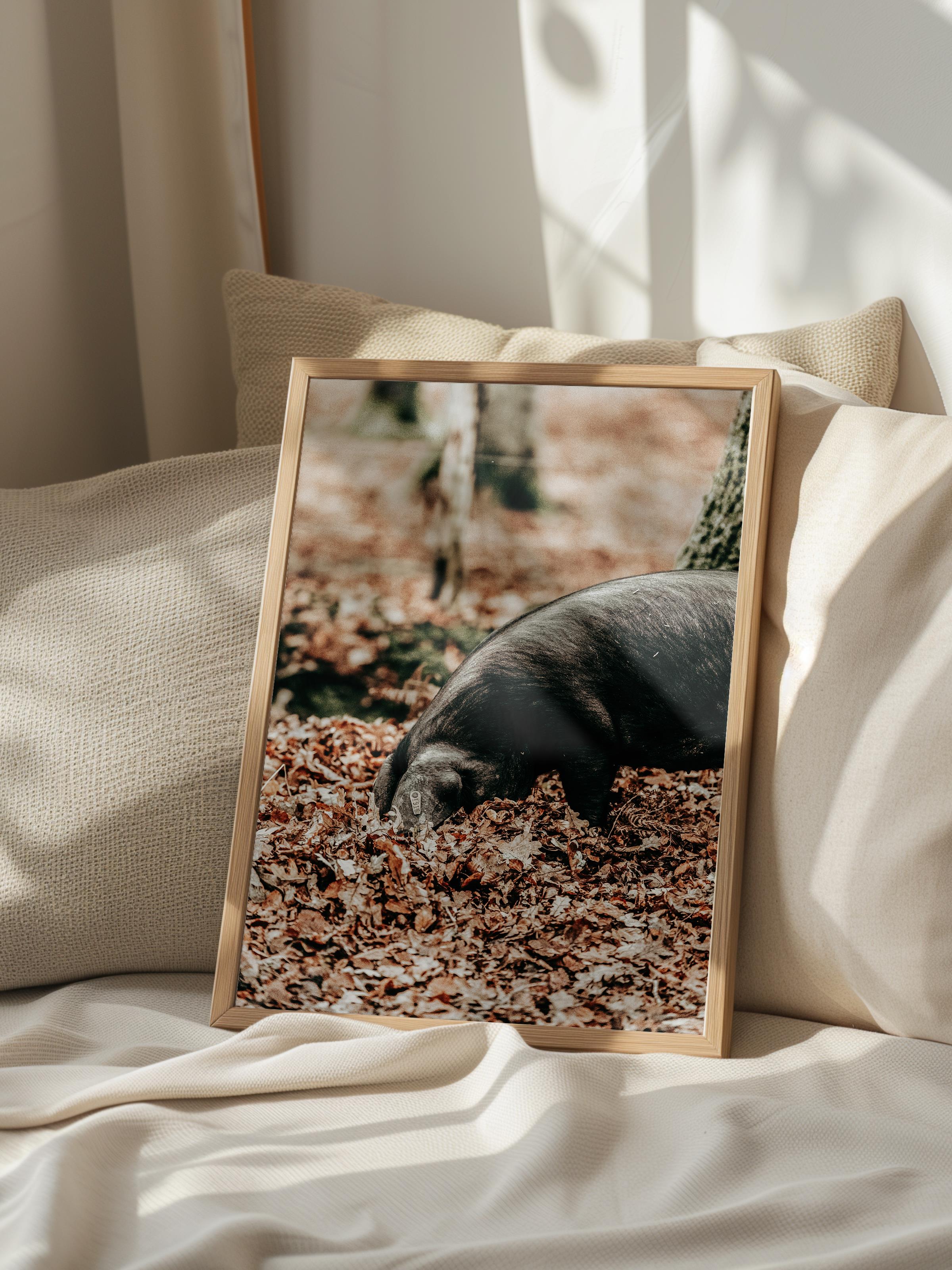 Rustic Çerçevesiz Poster, İskandinav Kahverengi Poster, NO:418 Domuzlar Fotoğraf