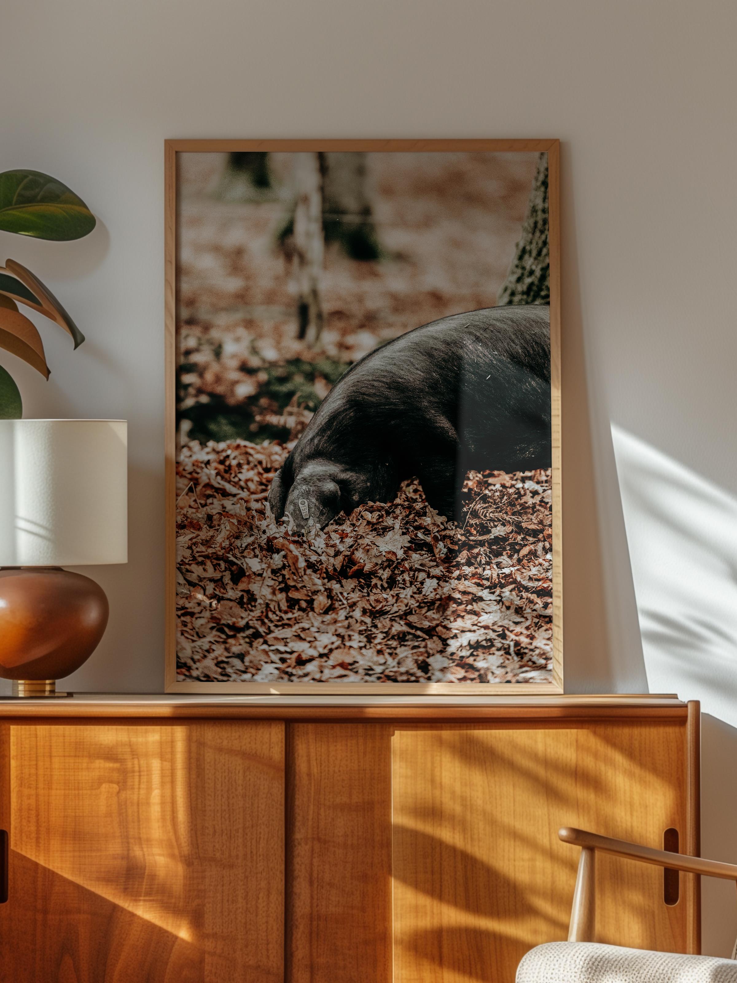 Rustic Çerçevesiz Poster, İskandinav Kahverengi Poster, NO:418 Domuzlar Fotoğraf
