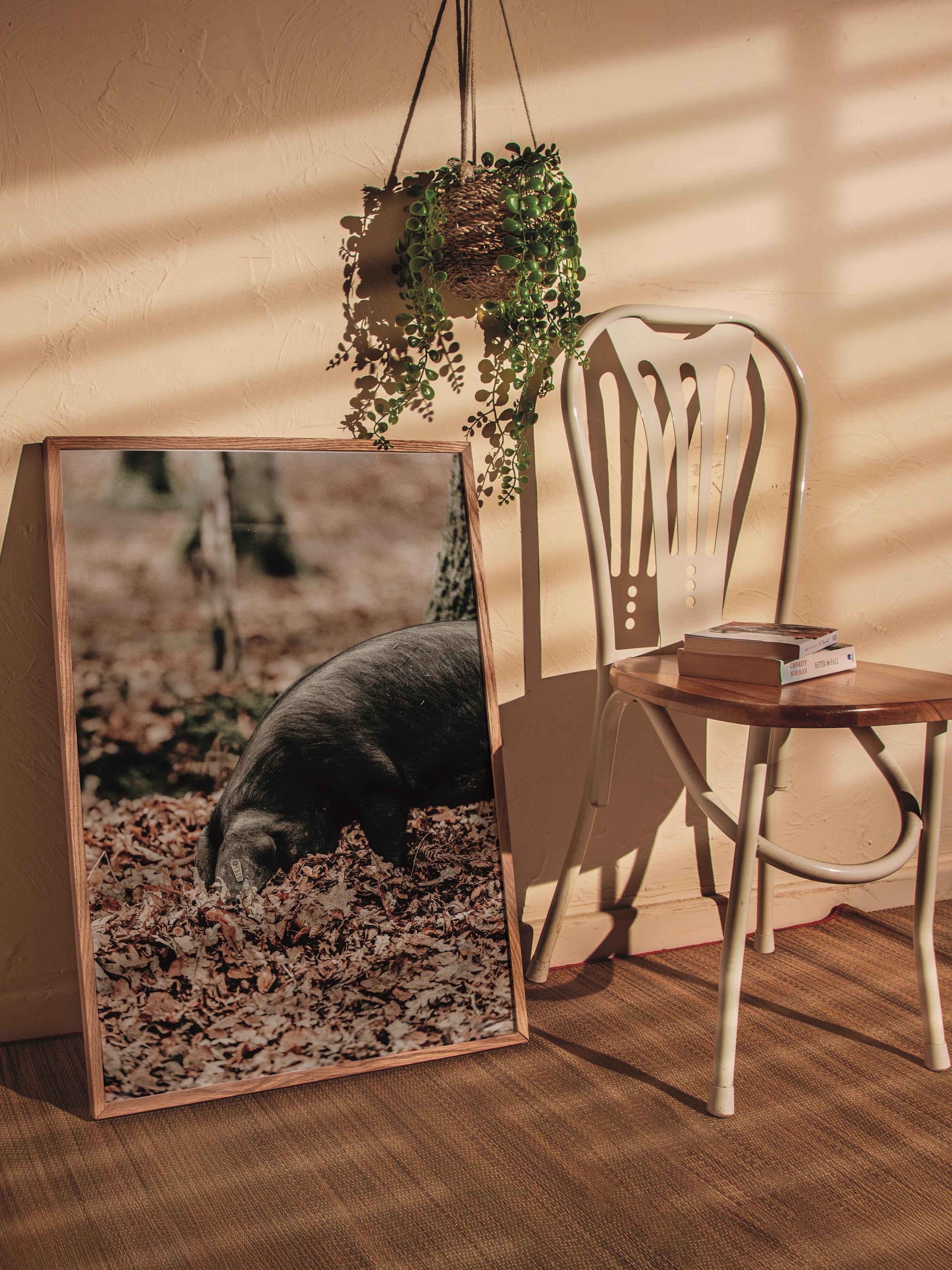 Rustic Çerçevesiz Poster, İskandinav Kahverengi Poster, NO:418 Domuzlar Fotoğraf