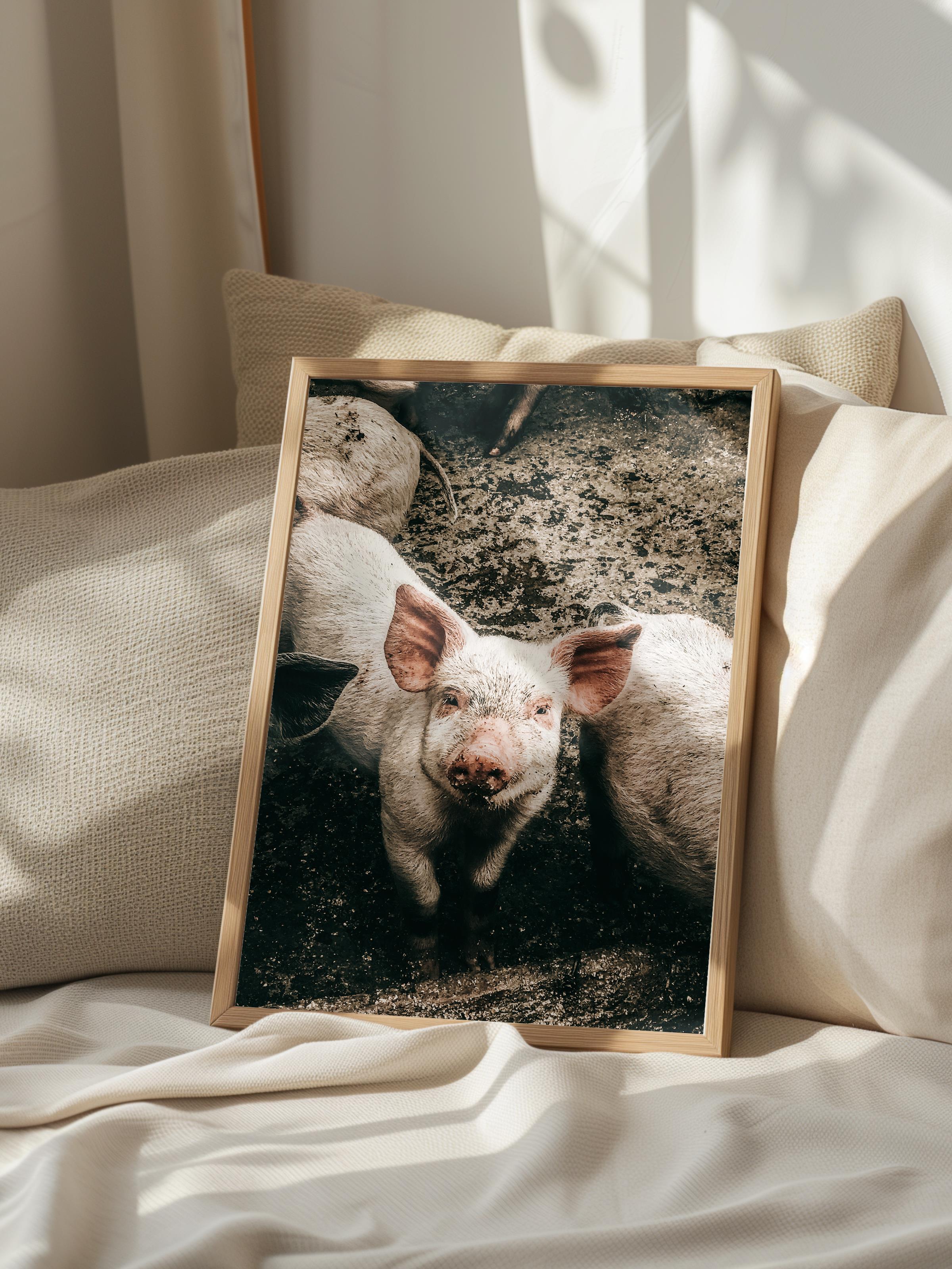 Rustic Çerçevesiz Poster, İskandinav Kahverengi Poster, NO:419 Domuzlar Fotoğraf