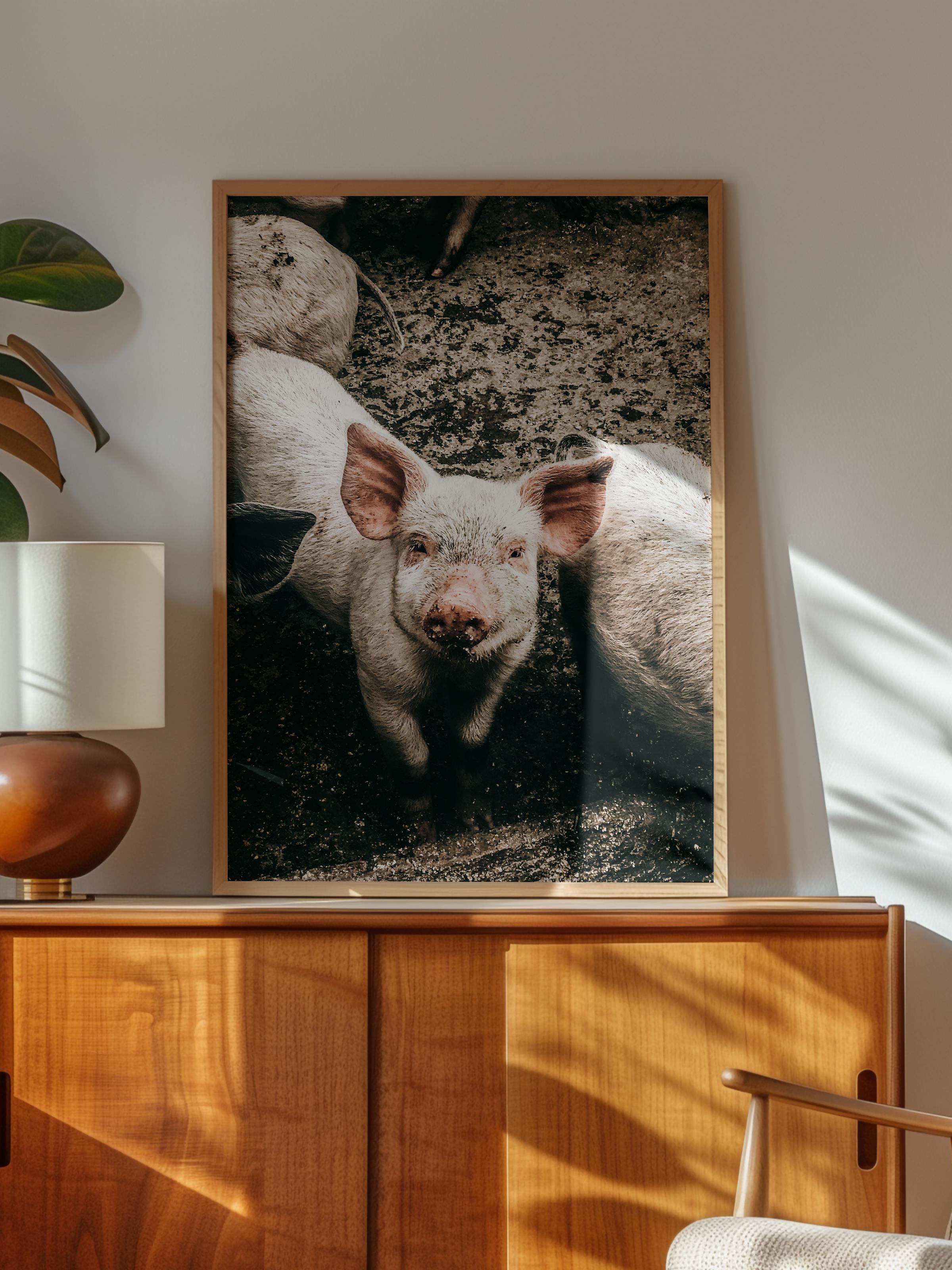 Rustic Çerçevesiz Poster, İskandinav Kahverengi Poster, NO:419 Domuzlar Fotoğraf