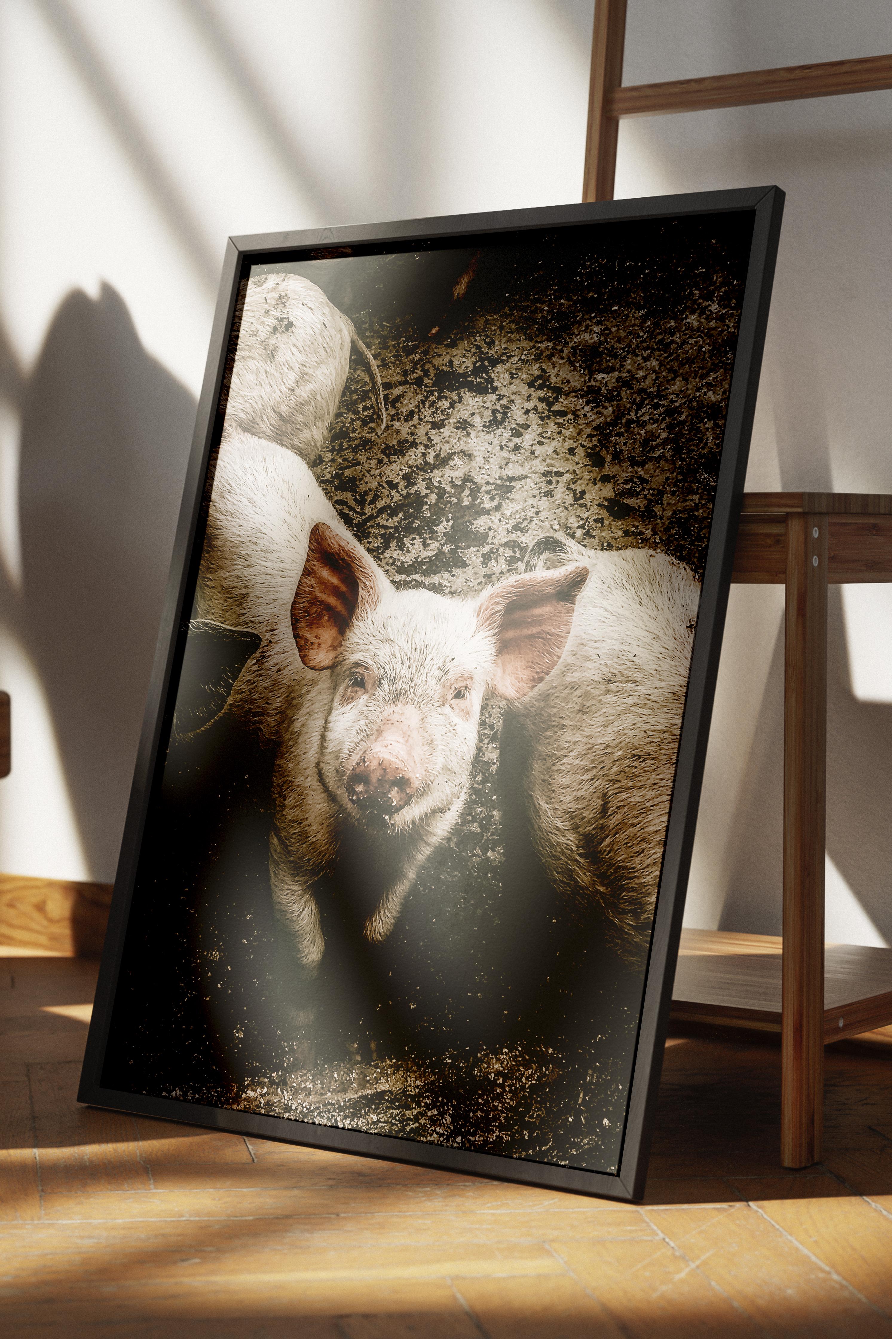 Rustic Çerçevesiz Poster, İskandinav Kahverengi Poster, NO:419 Domuzlar Fotoğraf