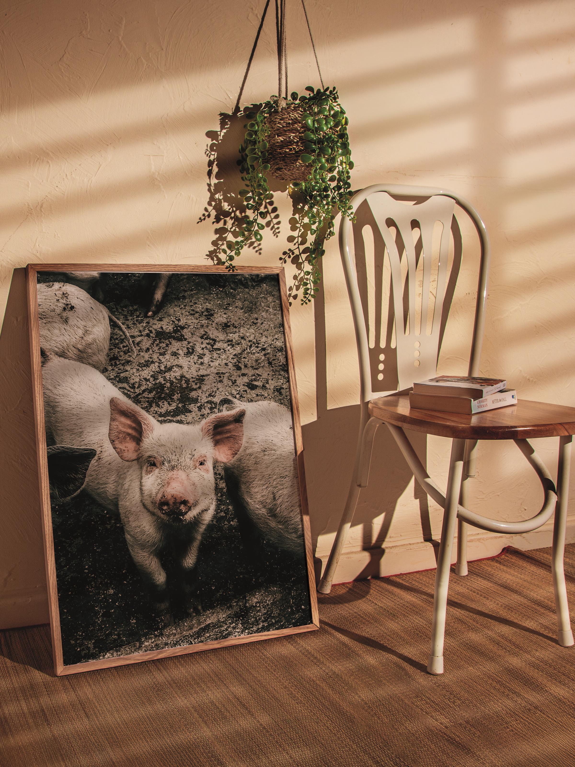 Rustic Çerçevesiz Poster, İskandinav Kahverengi Poster, NO:419 Domuzlar Fotoğraf