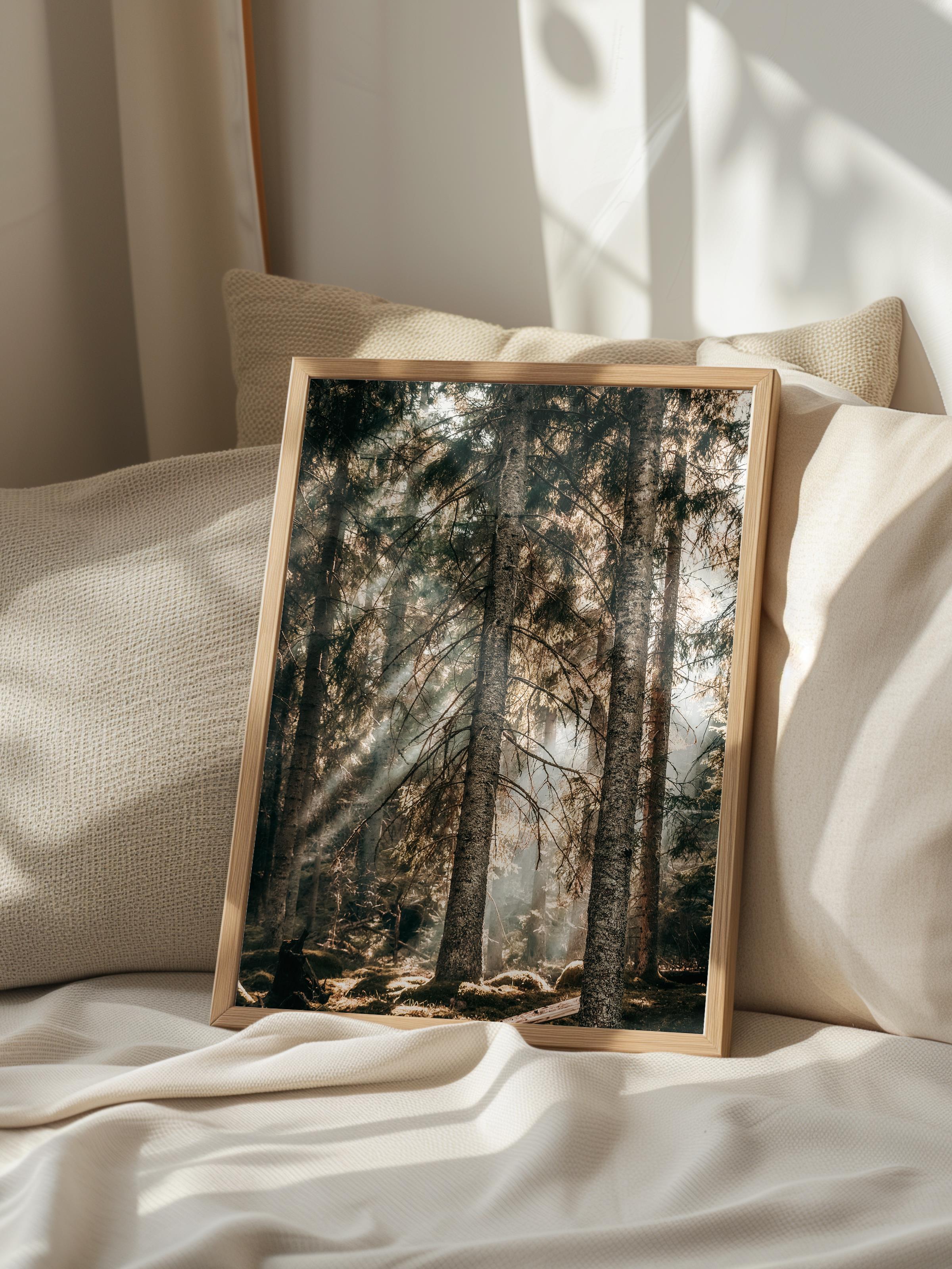 Rustic Çerçevesiz Poster, İskandinav Kahverengi Poster, NO:428 Orman Fotoğraf