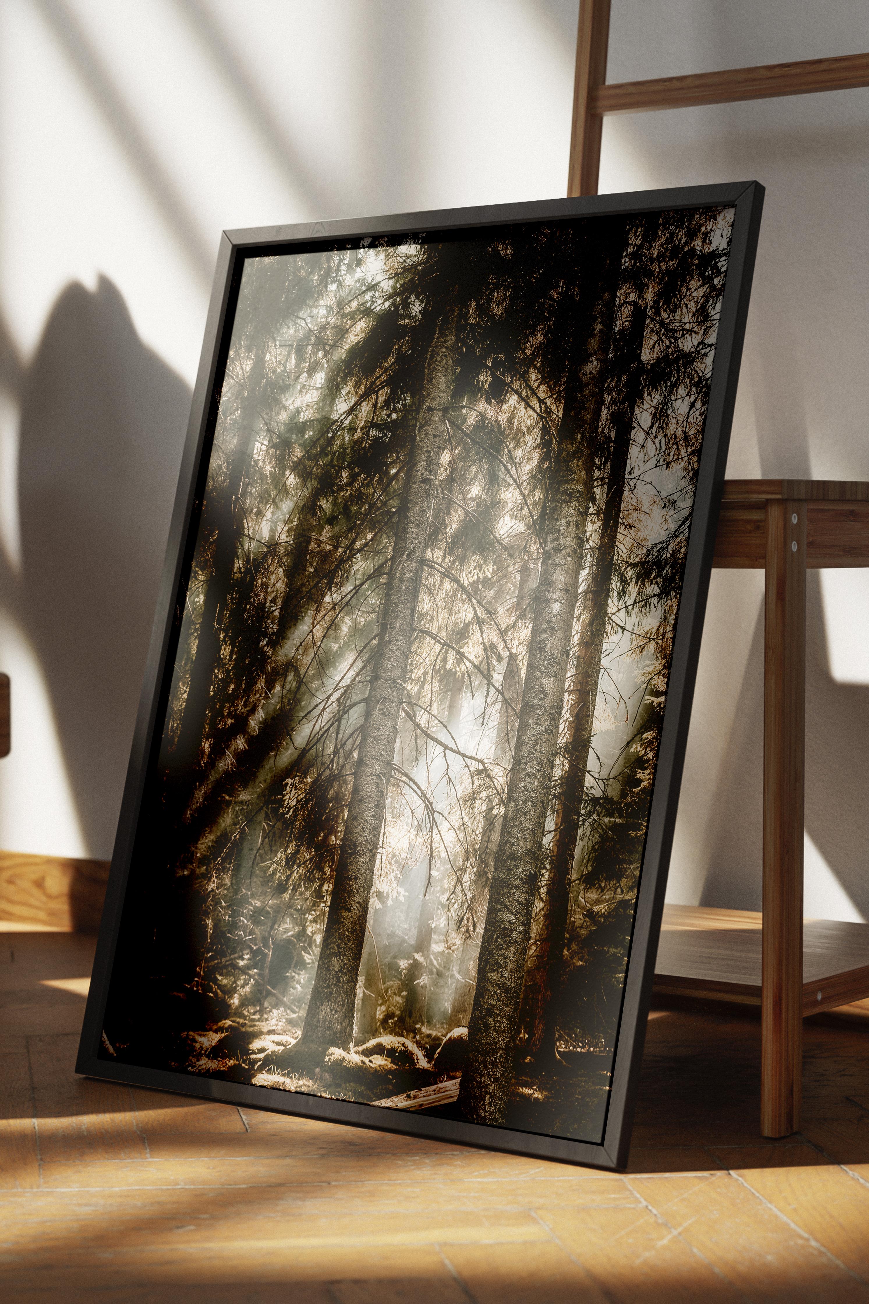 Rustic Çerçevesiz Poster, İskandinav Kahverengi Poster, NO:428 Orman Fotoğraf