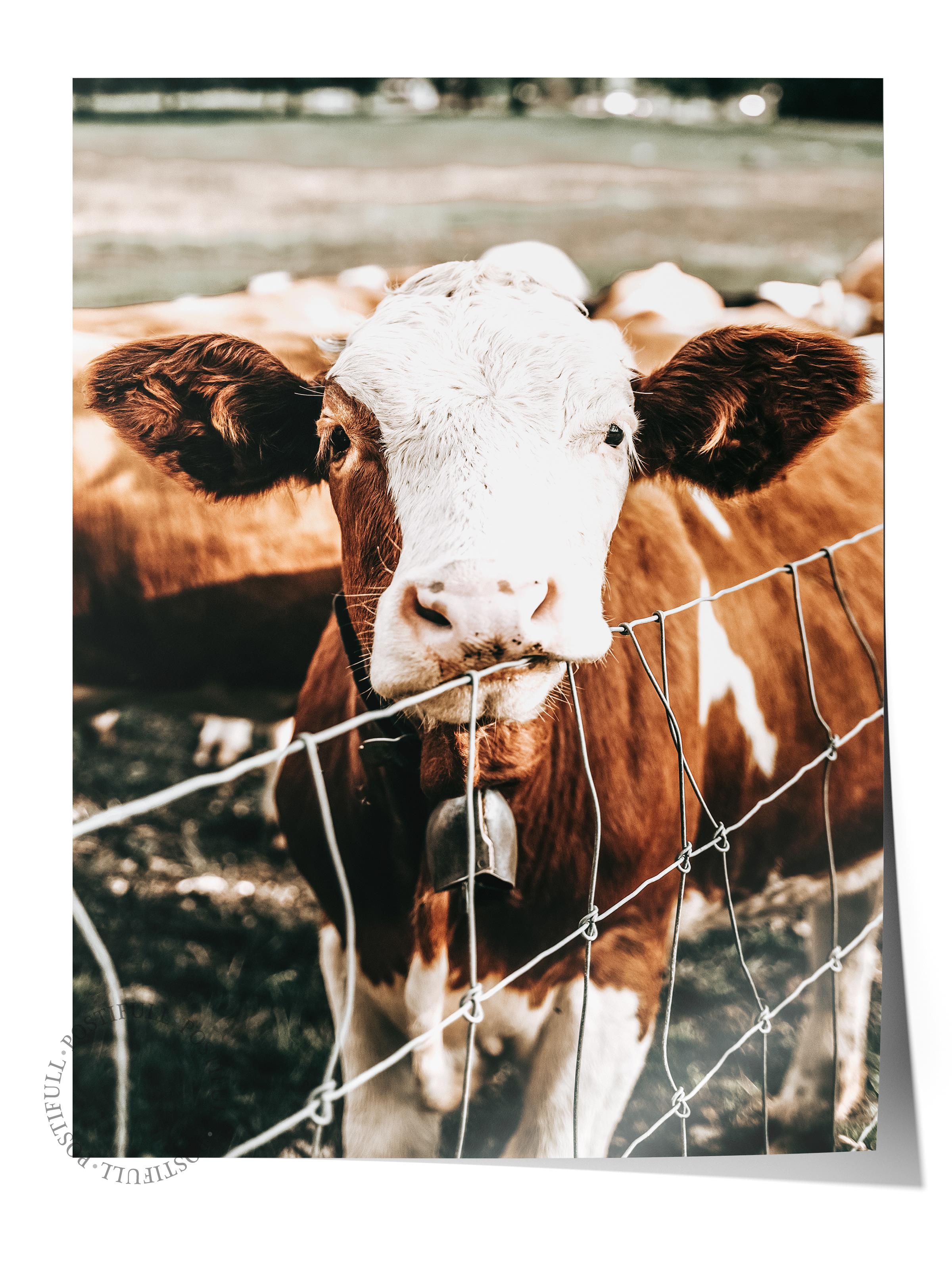 Rustic Çerçevesiz Poster, İskandinav Kahverengi Poster, NO:431 İnek Fotoğraf