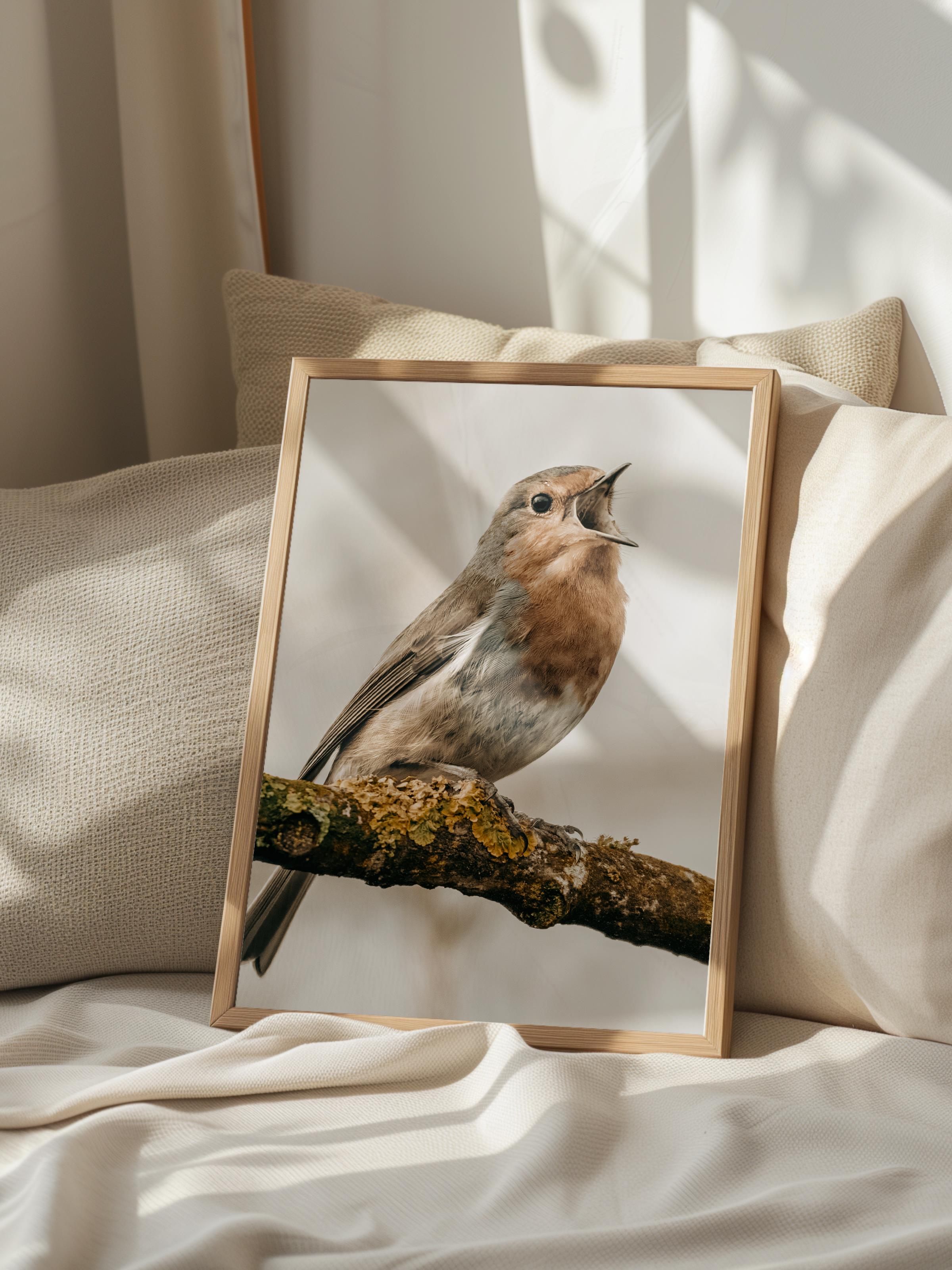 Rustic Çerçevesiz Poster, İskandinav Kahverengi Poster, NO:432 Kuş Fotoğraf