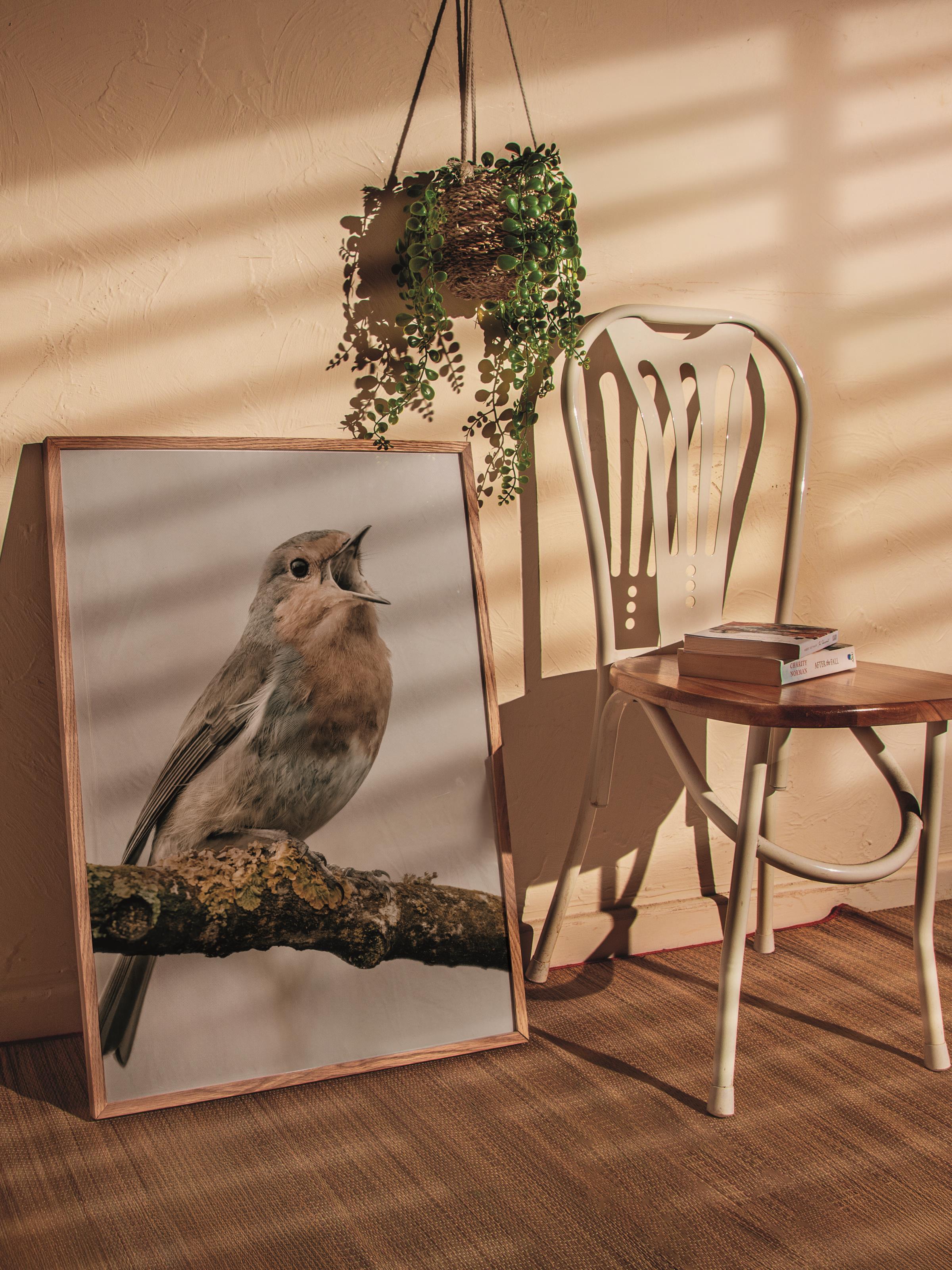 Rustic Çerçevesiz Poster, İskandinav Kahverengi Poster, NO:432 Kuş Fotoğraf