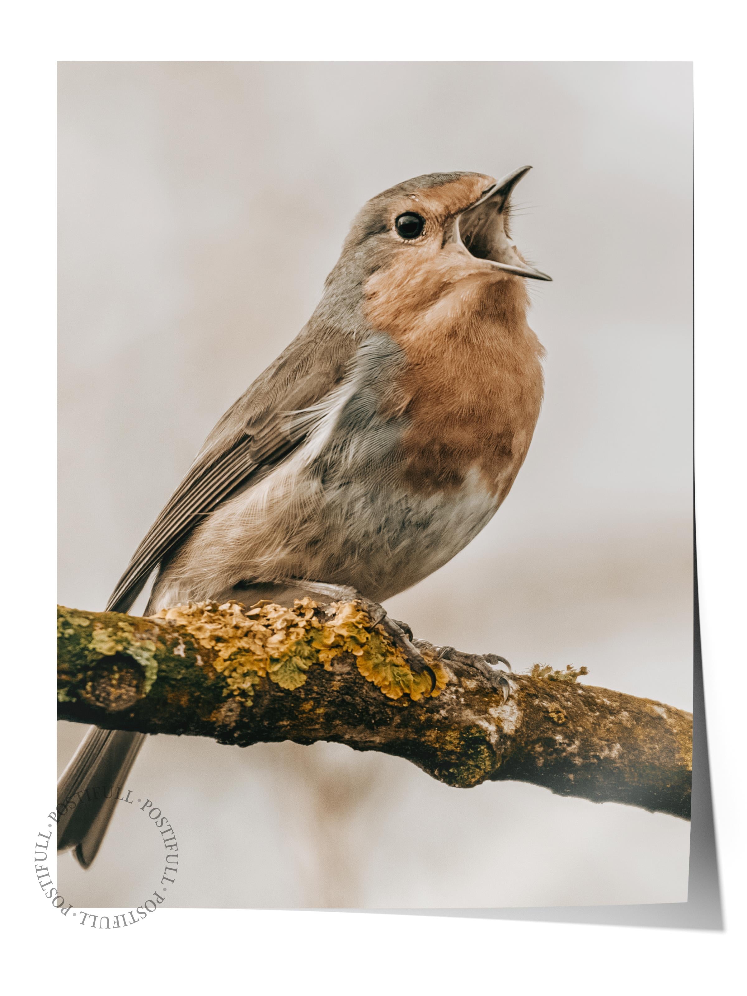 Rustic Çerçevesiz Poster, İskandinav Kahverengi Poster, NO:432 Kuş Fotoğraf