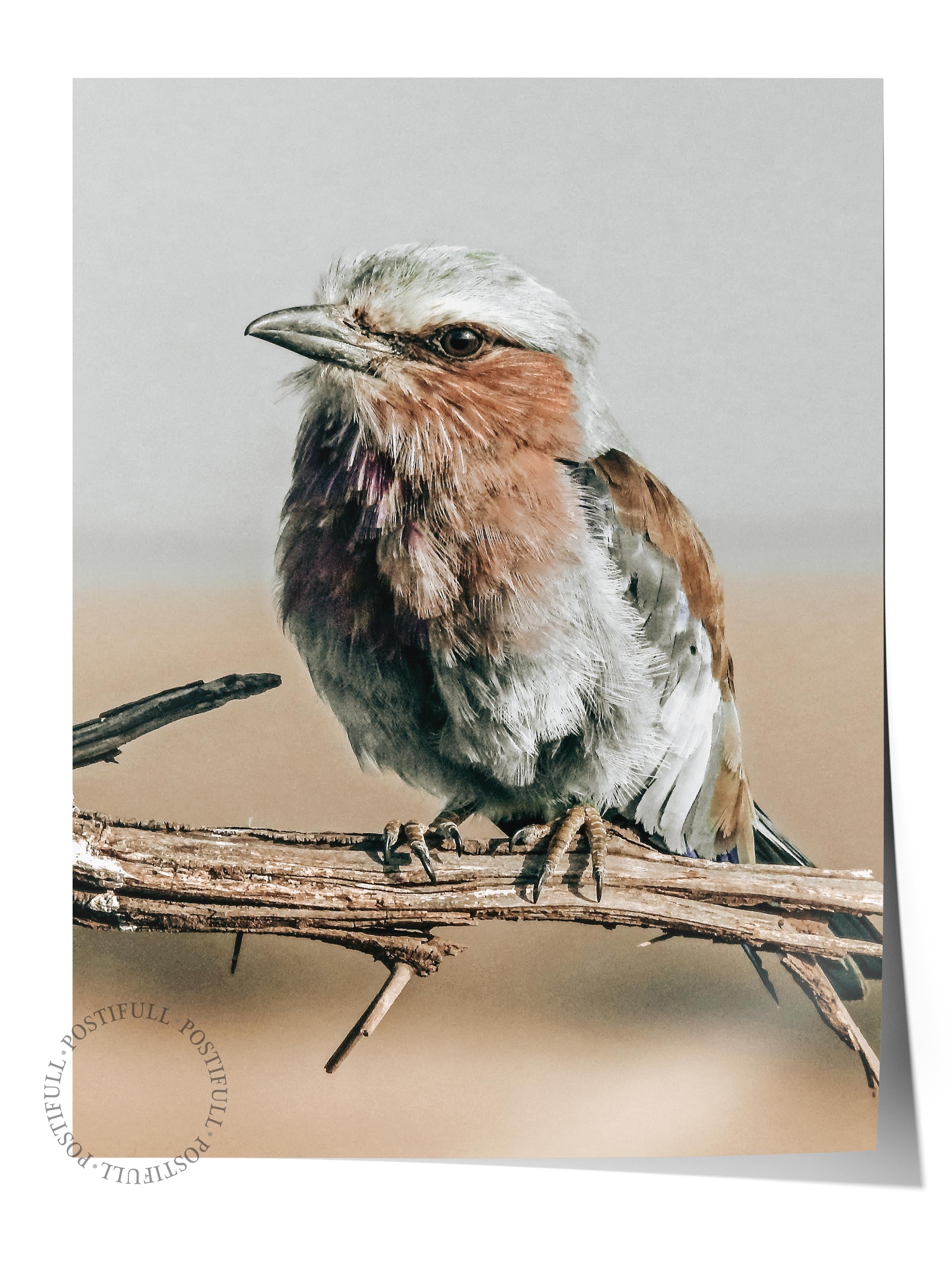 Rustic Çerçevesiz Poster, İskandinav Kahverengi Poster, NO:433 Kuş Fotoğraf