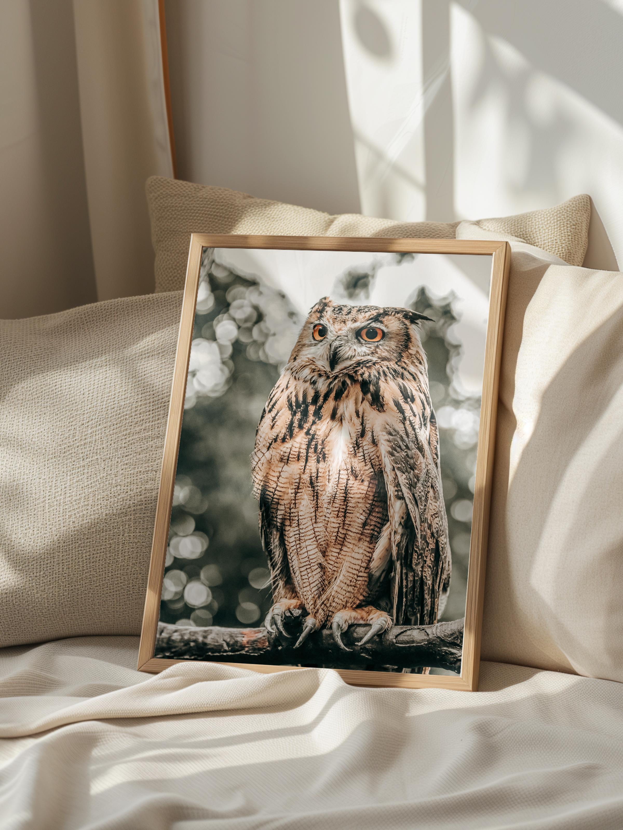 Rustic Çerçevesiz Poster, İskandinav Kahverengi Poster, NO:434 Baykuş Fotoğraf
