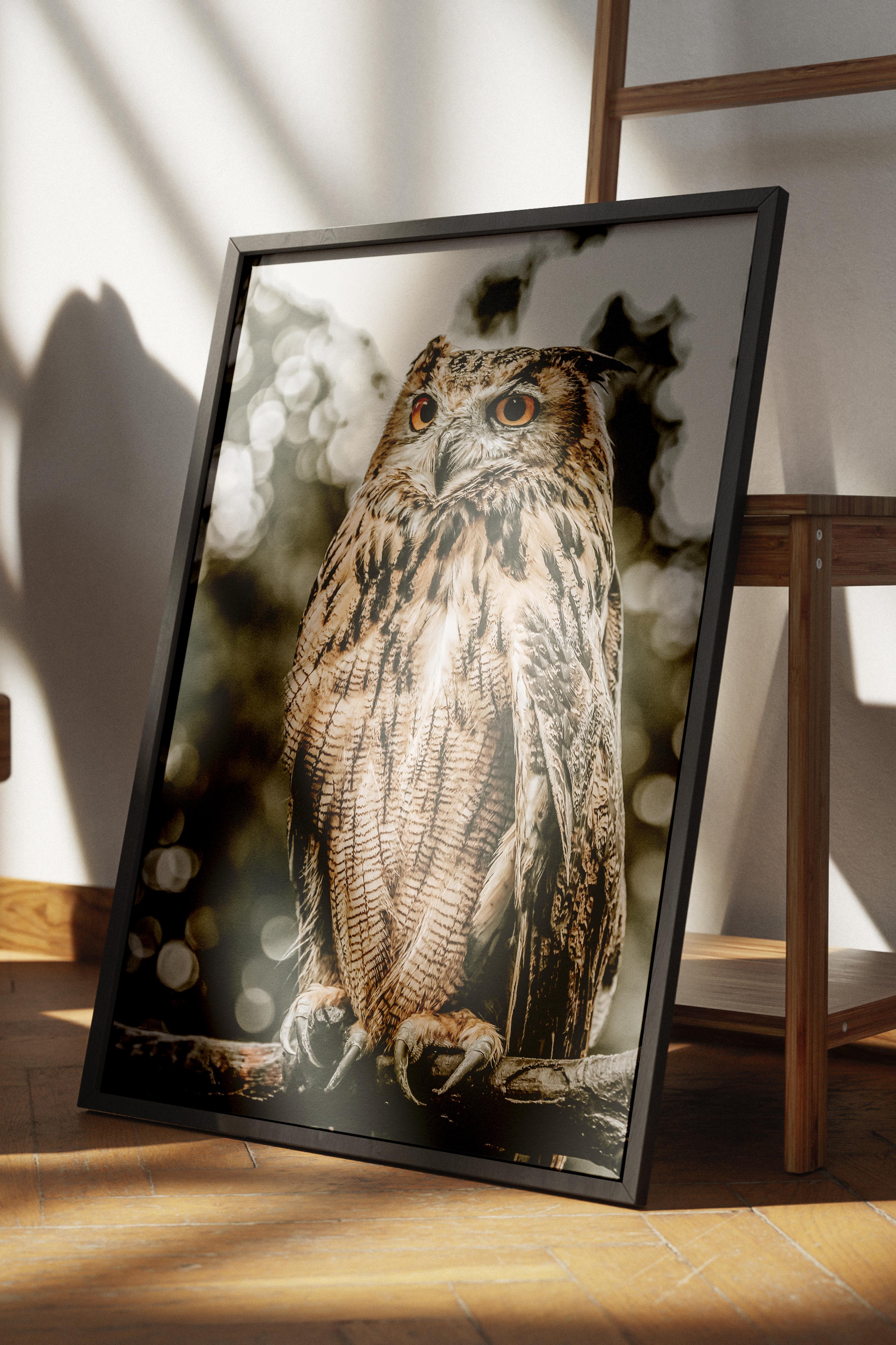 Rustic Çerçevesiz Poster, İskandinav Kahverengi Poster, NO:434 Baykuş Fotoğraf