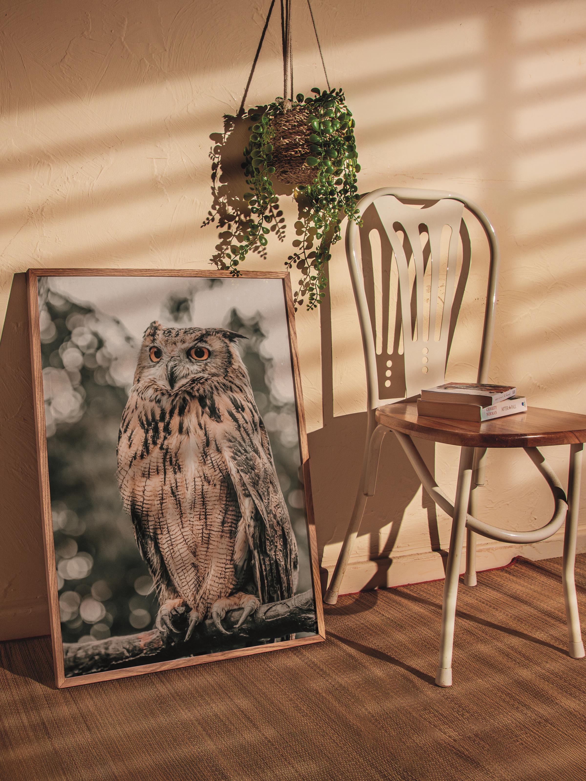 Rustic Çerçevesiz Poster, İskandinav Kahverengi Poster, NO:434 Baykuş Fotoğraf
