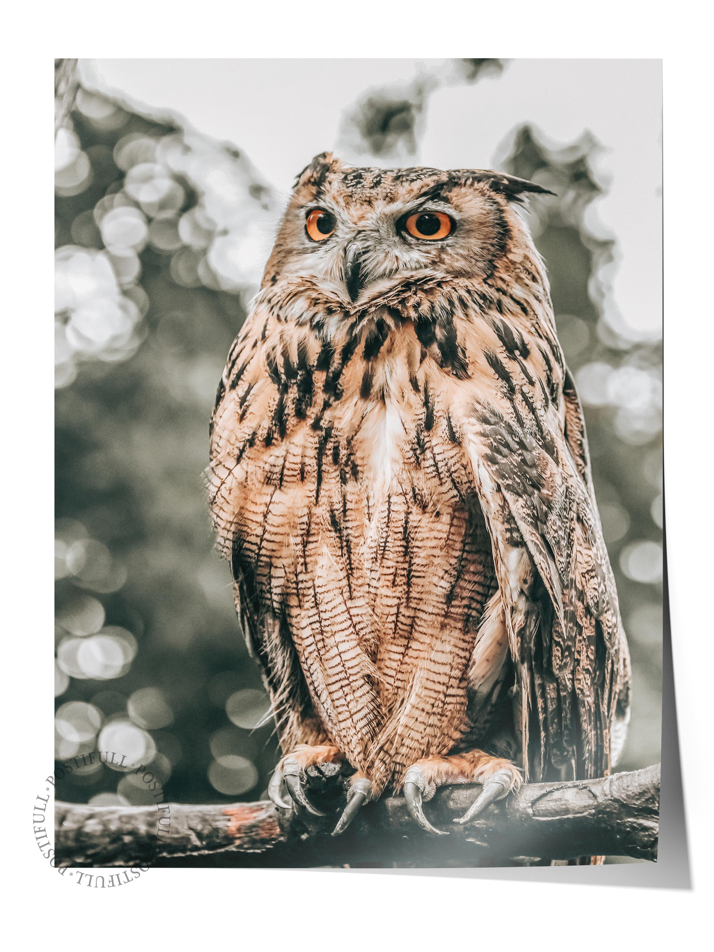 Rustic Çerçevesiz Poster, İskandinav Kahverengi Poster, NO:434 Baykuş Fotoğraf