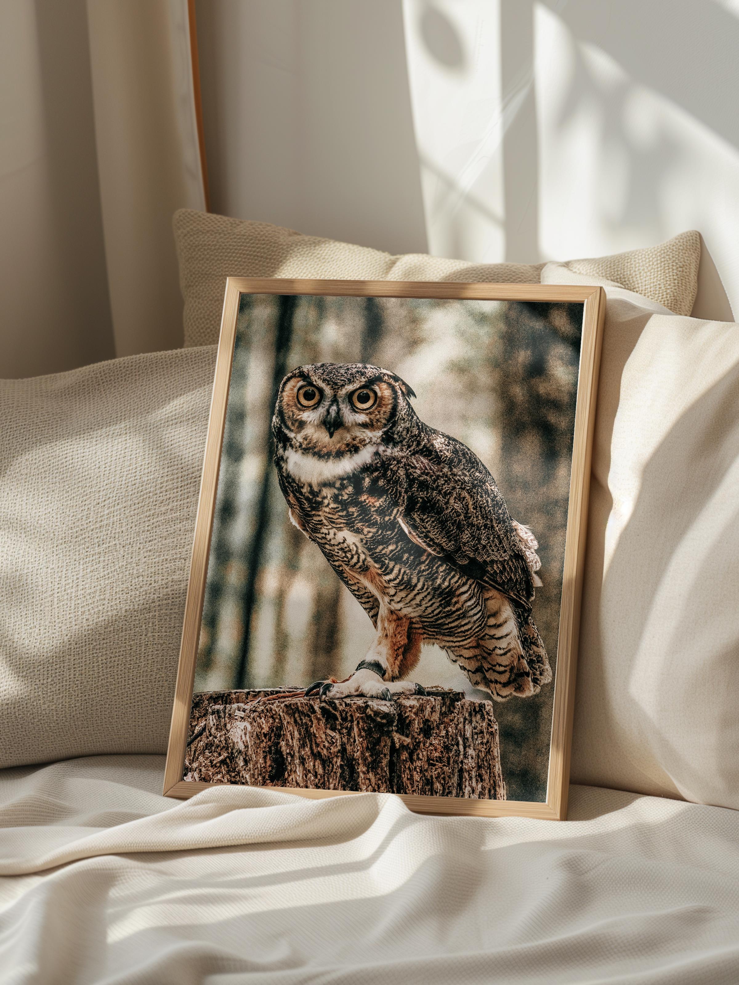 Rustic Çerçevesiz Poster, İskandinav Kahverengi Poster, NO:435 Baykuş Fotoğraf