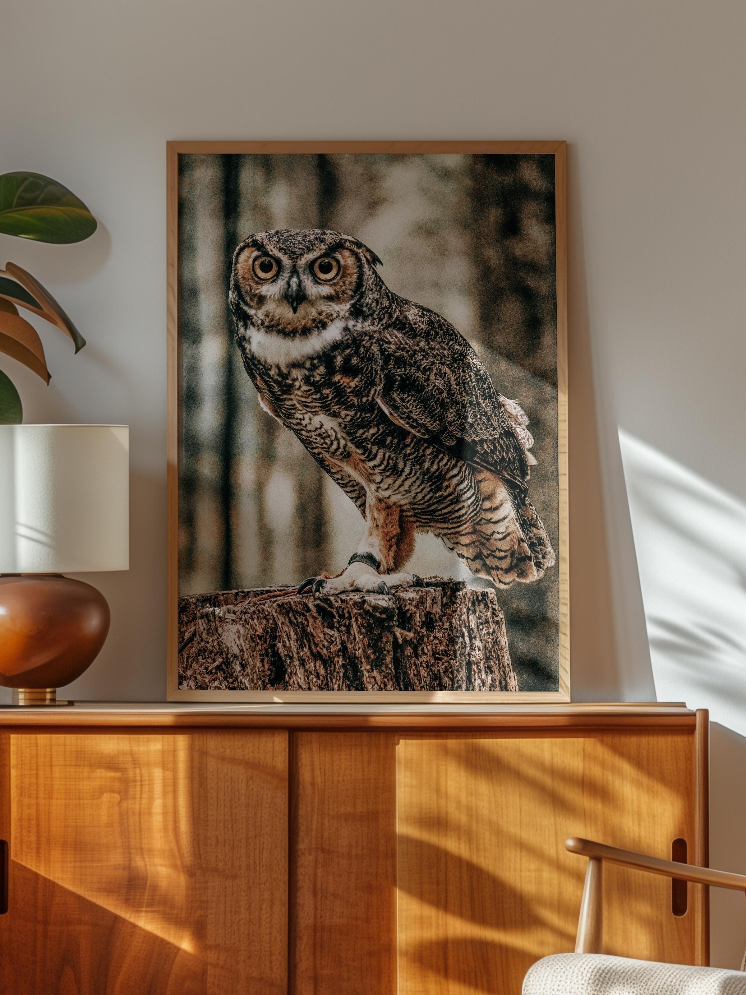 Rustic Çerçevesiz Poster, İskandinav Kahverengi Poster, NO:435 Baykuş Fotoğraf
