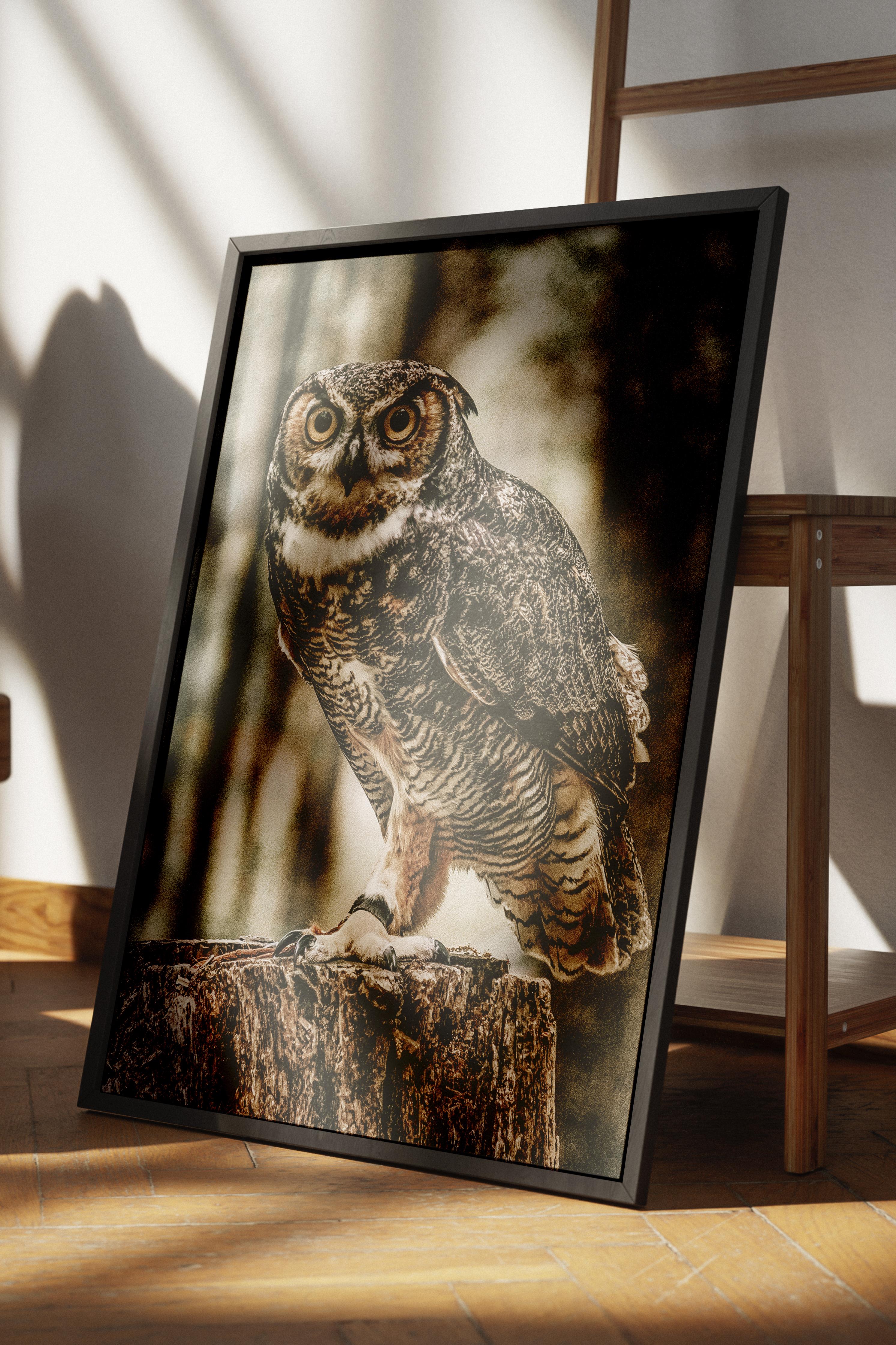 Rustic Çerçevesiz Poster, İskandinav Kahverengi Poster, NO:435 Baykuş Fotoğraf