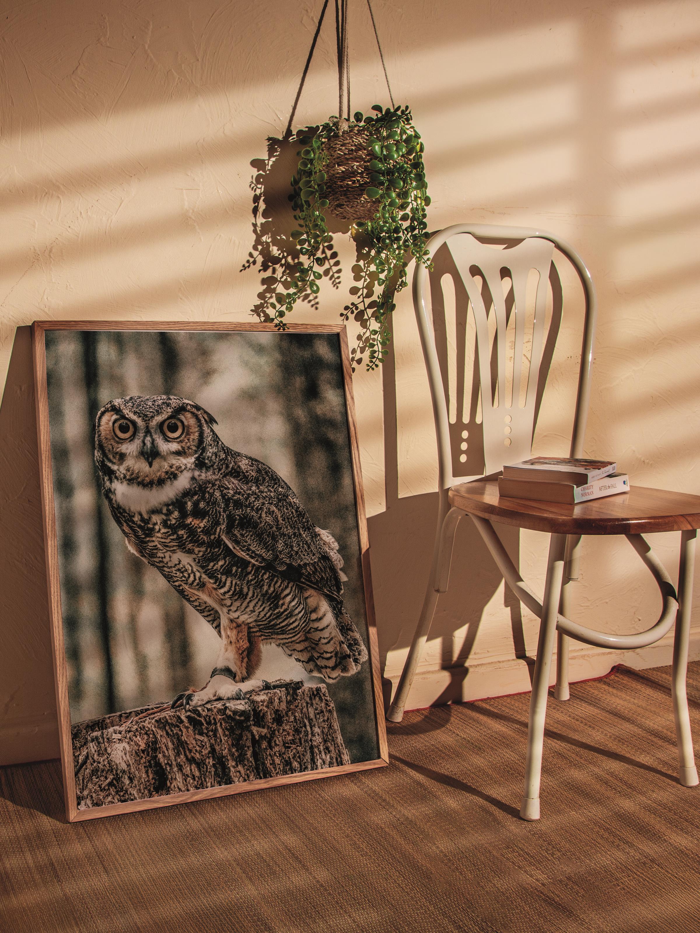 Rustic Çerçevesiz Poster, İskandinav Kahverengi Poster, NO:435 Baykuş Fotoğraf
