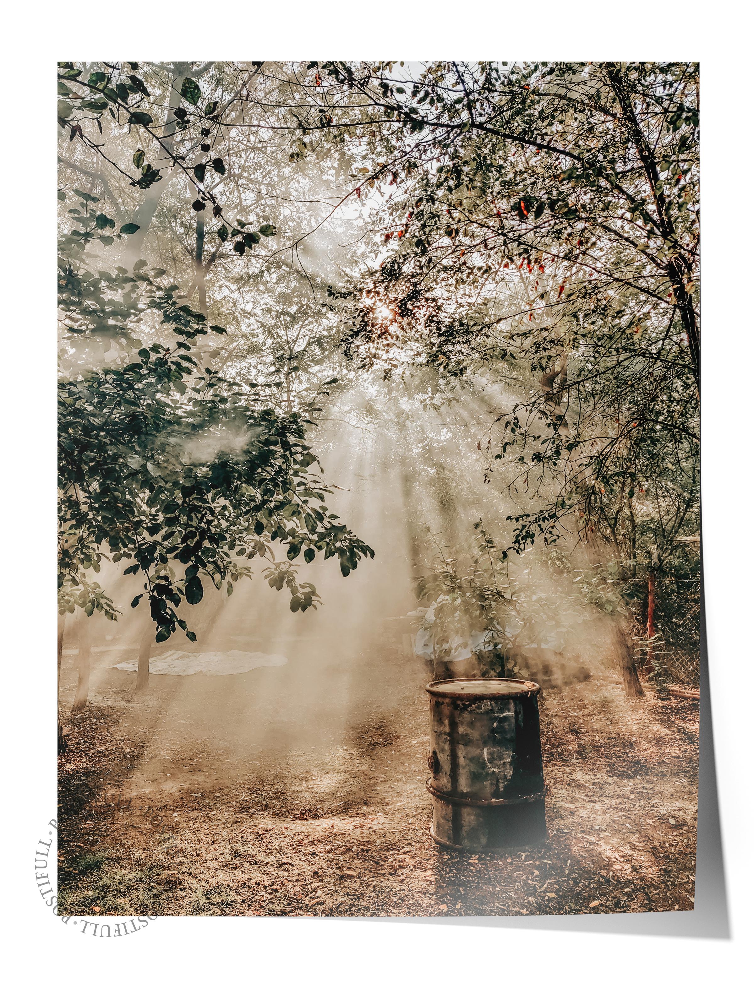 Rustic Çerçevesiz Poster, İskandinav Kahverengi Poster, NO:442 Orman Fotoğraf