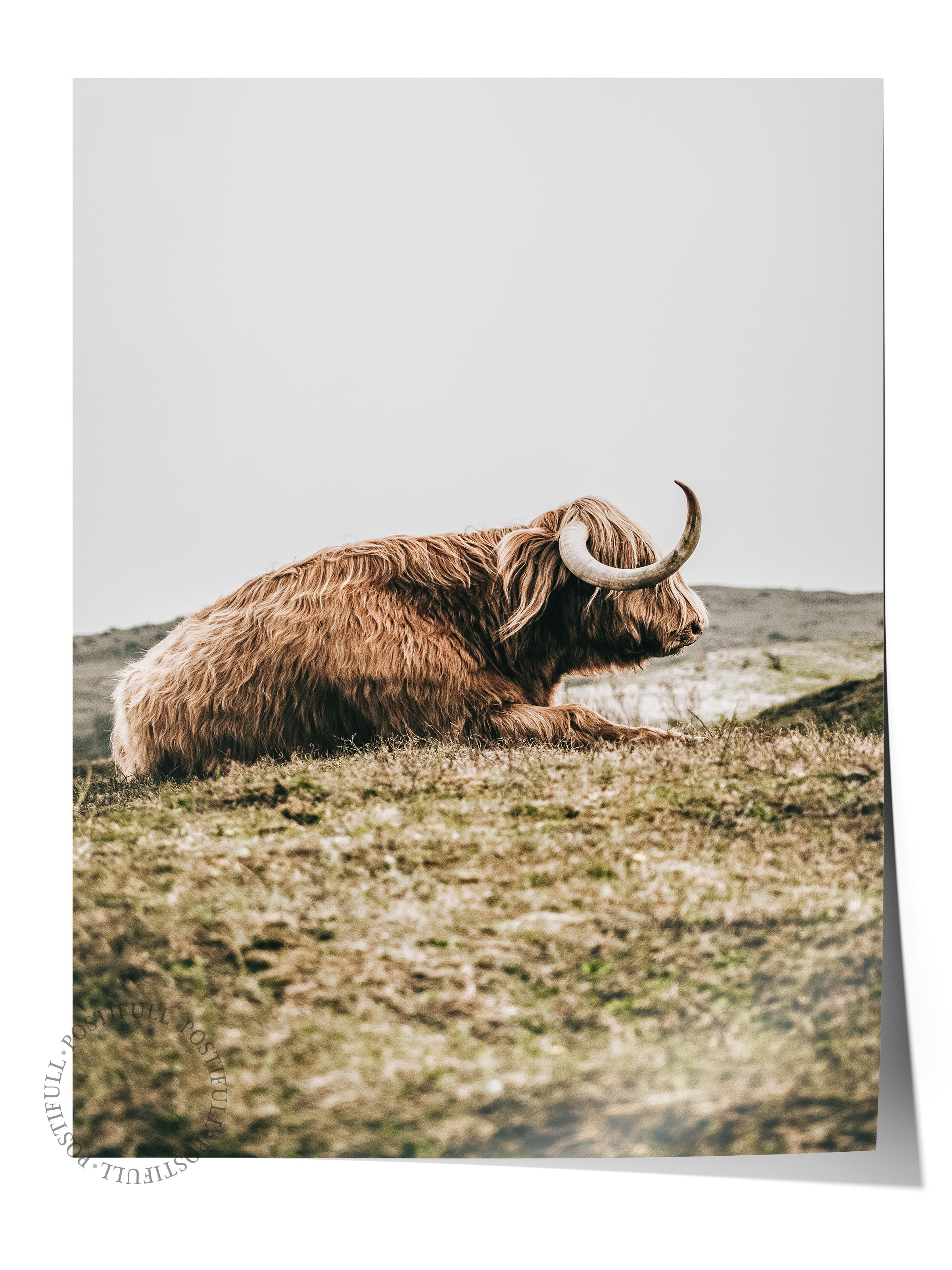 Rustic Çerçevesiz Poster, İskandinav Kahverengi Poster, NO:445 Yatan İnek Fotoğraf