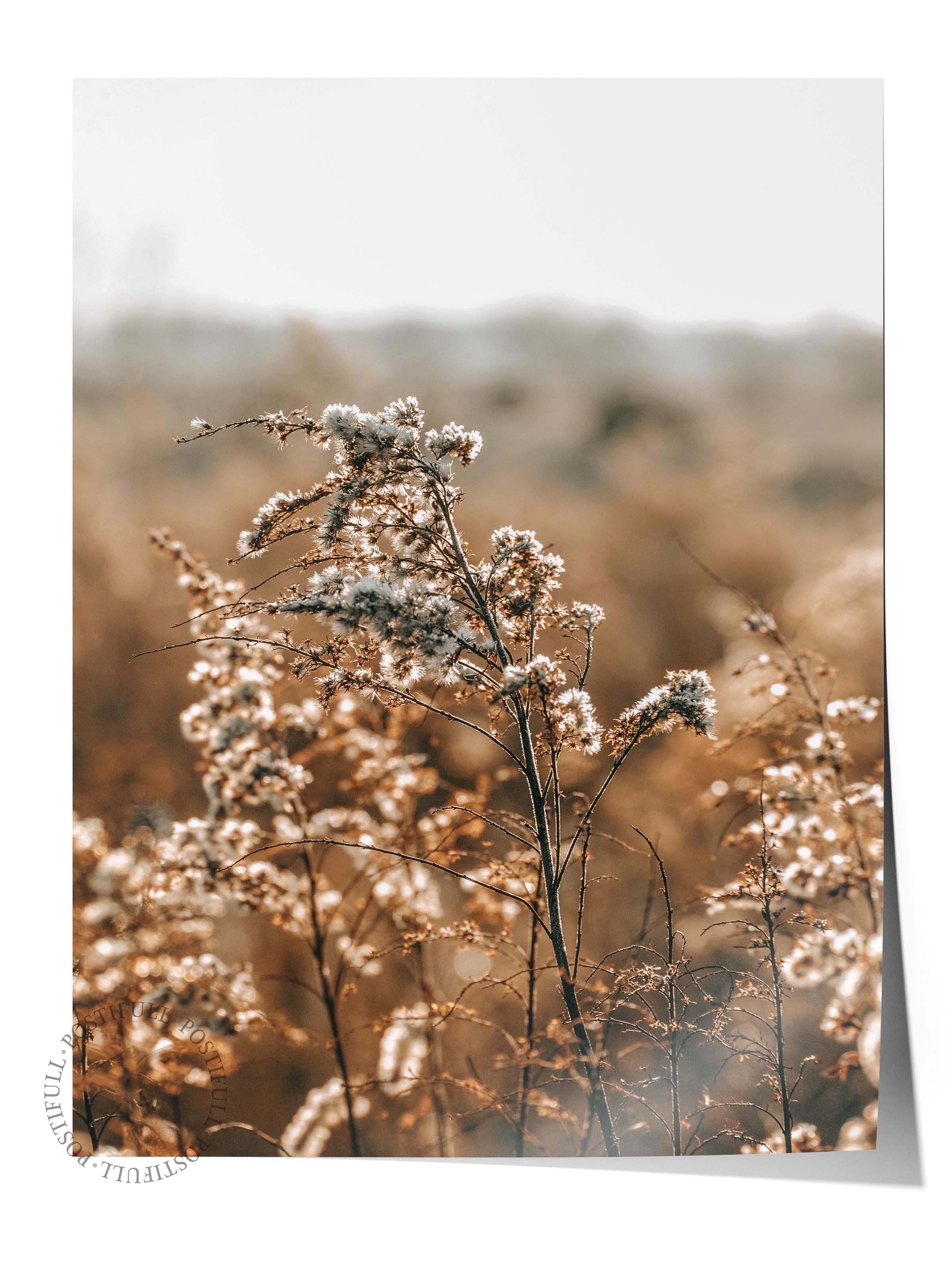 Rustic Çerçevesiz Poster, İskandinav Kahverengi Poster, NO:455 Çiçekler Fotoğraf