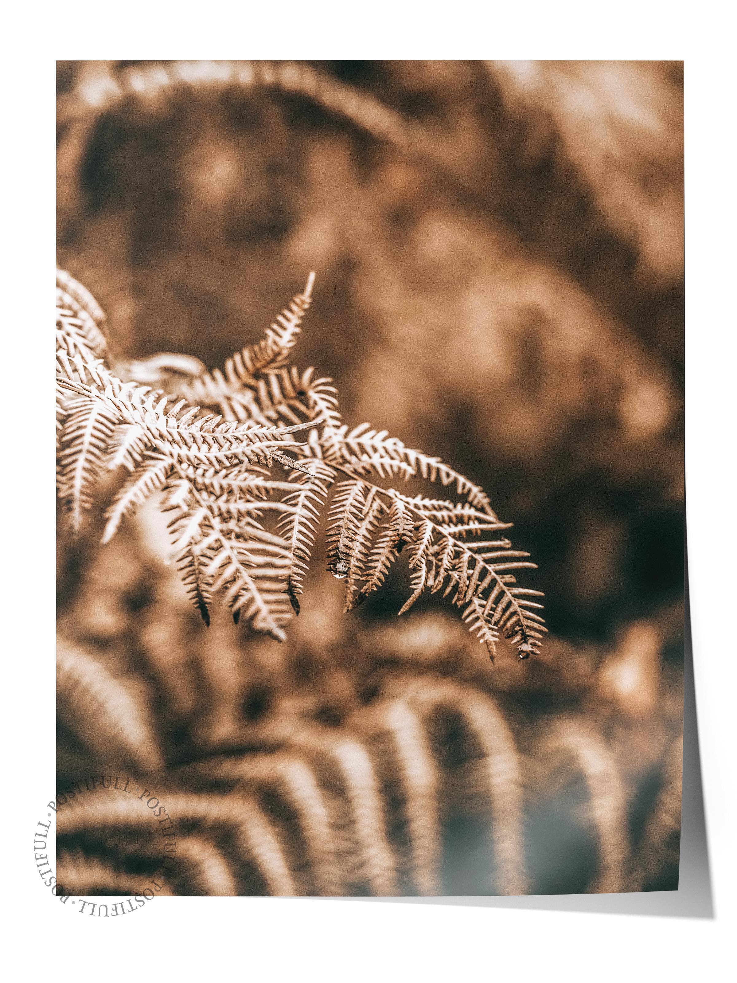 Rustic Çerçevesiz Poster, İskandinav Kahverengi Poster, NO:456 Eğrelti Otu Fotoğraf