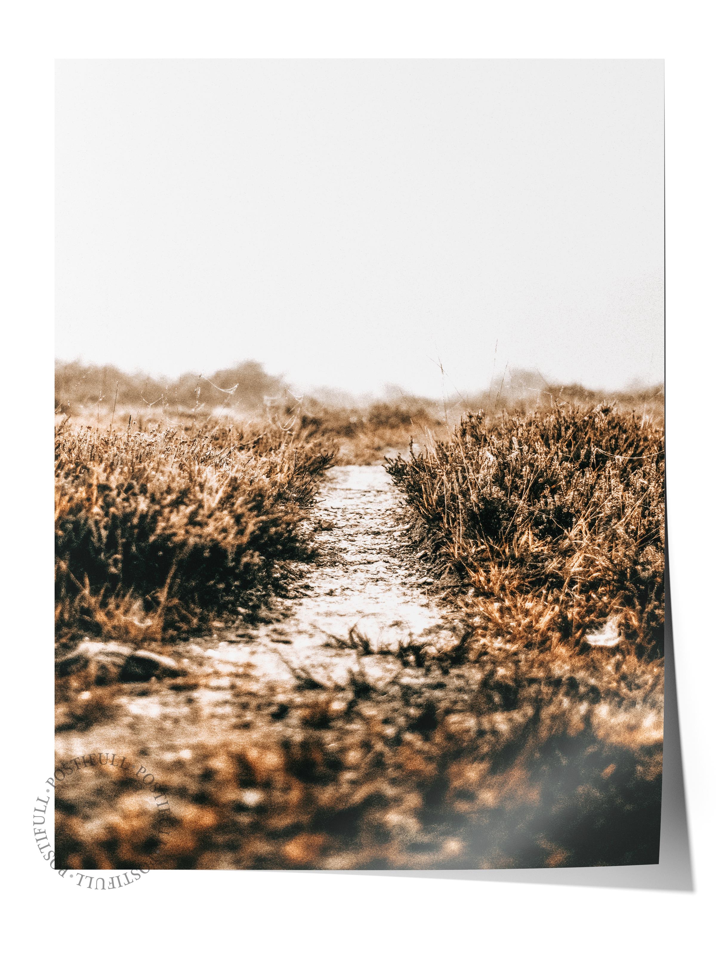 Rustic Çerçevesiz Poster, İskandinav Kahverengi Poster, NO:457 Patika Fotoğraf