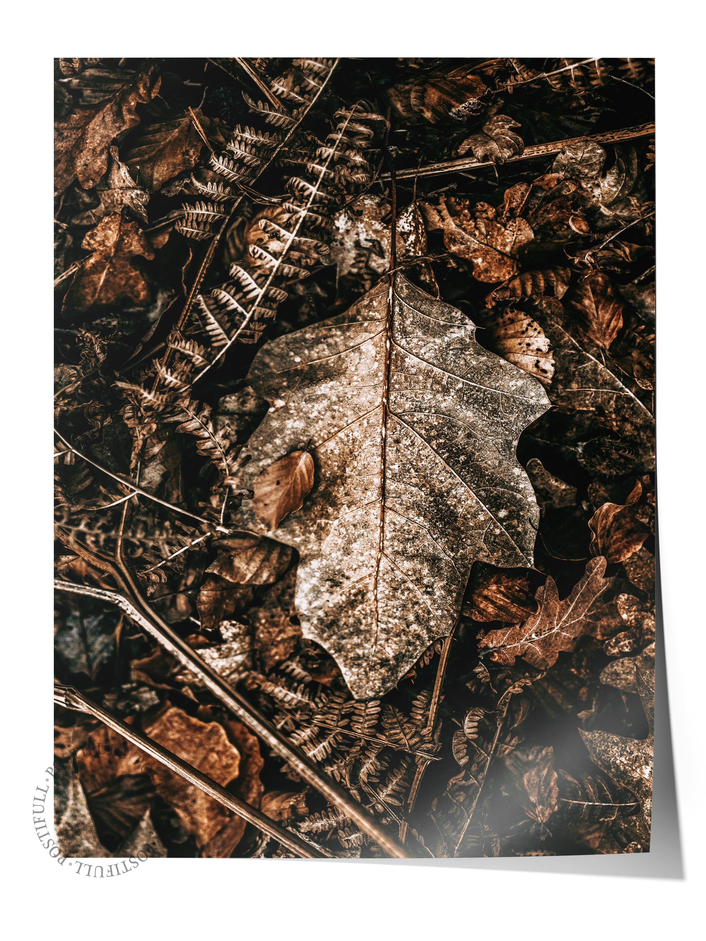 Rustic Çerçevesiz Poster, İskandinav Kahverengi Poster, NO:458 Yapraklar Fotoğraf