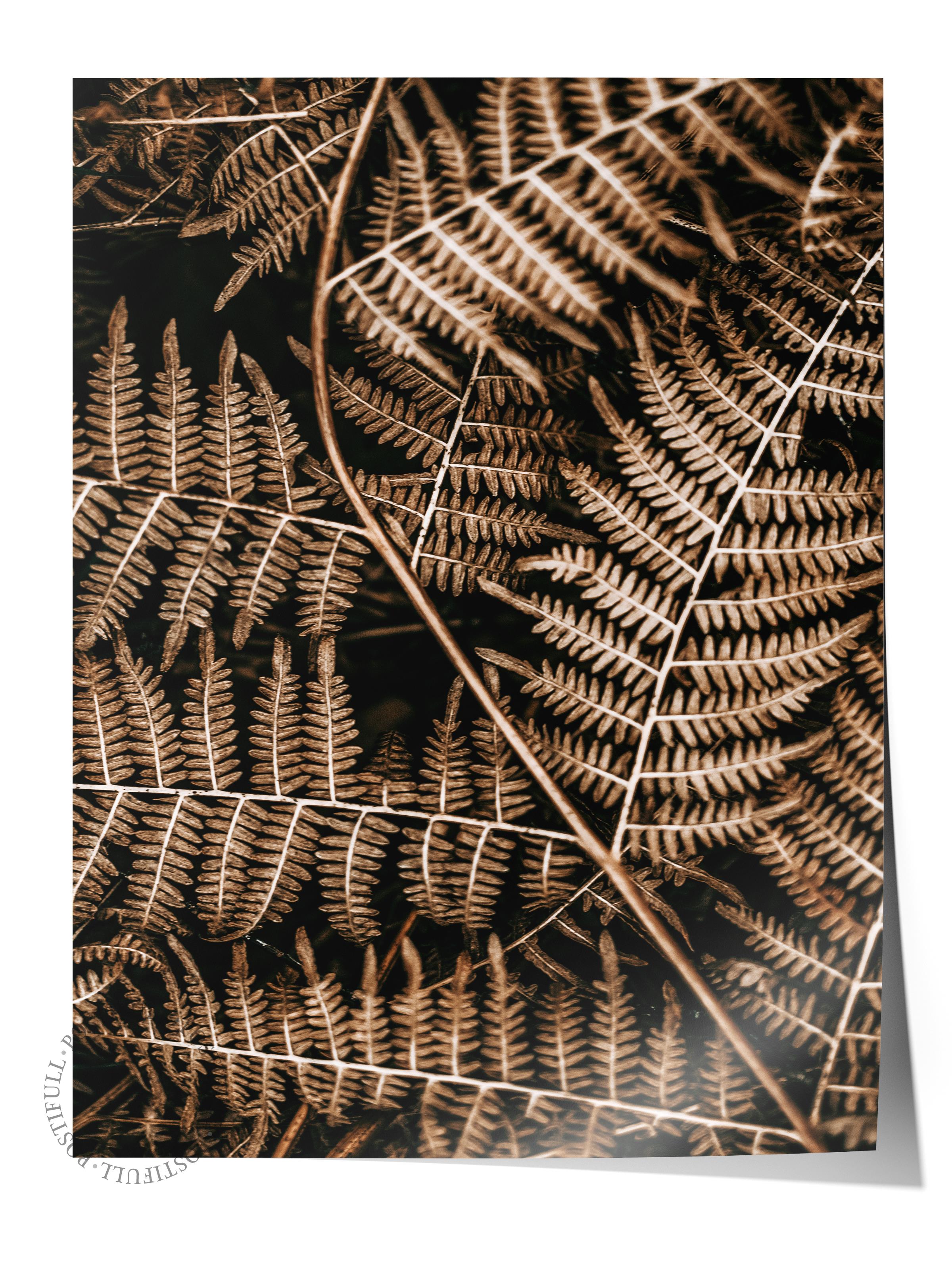 Rustic Çerçevesiz Poster, İskandinav Kahverengi Poster, NO:459 Eğrelti Otu Fotoğraf