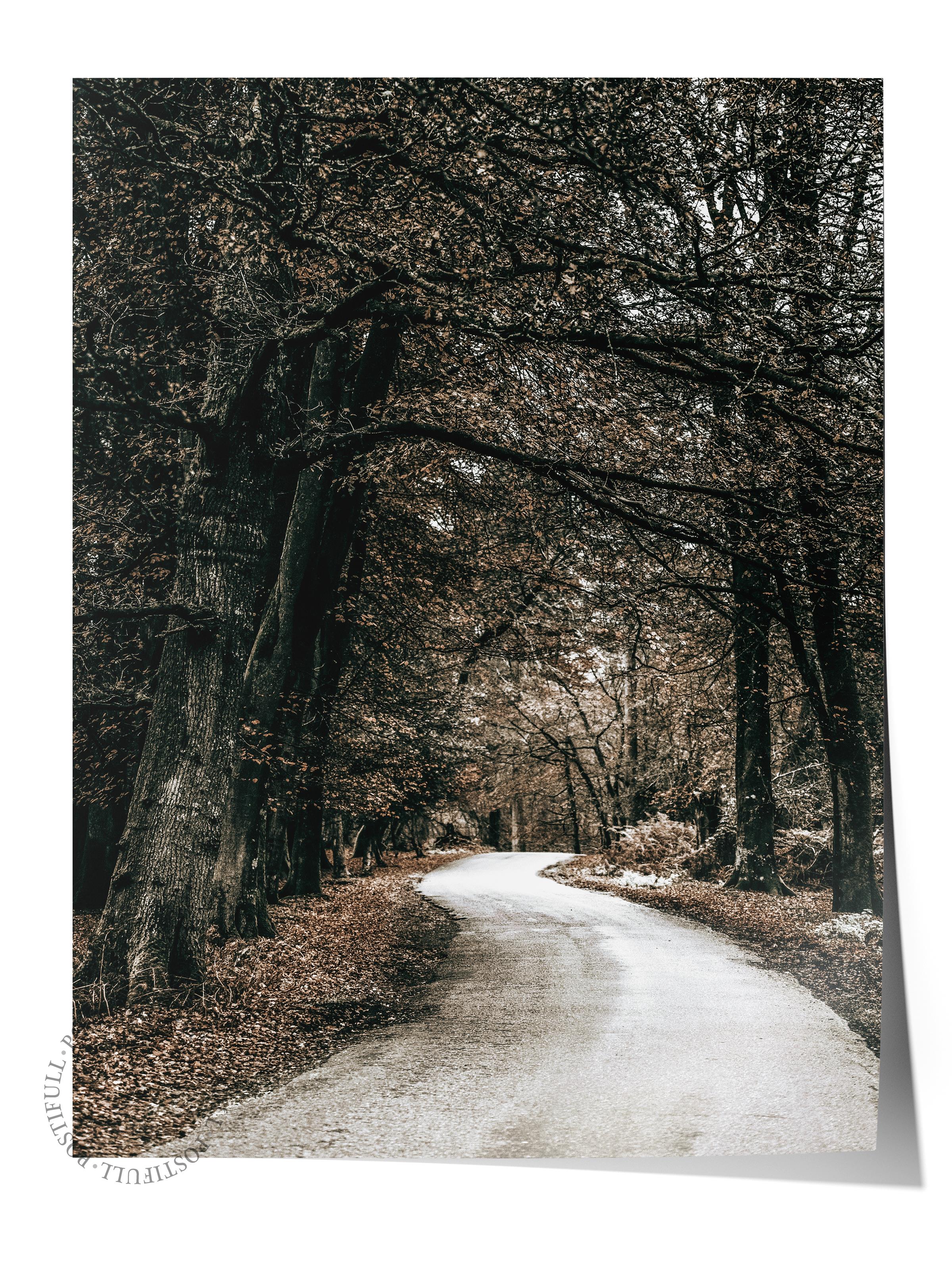 Rustic Çerçevesiz Poster, İskandinav Kahverengi Poster, NO:460 Yol Fotoğraf