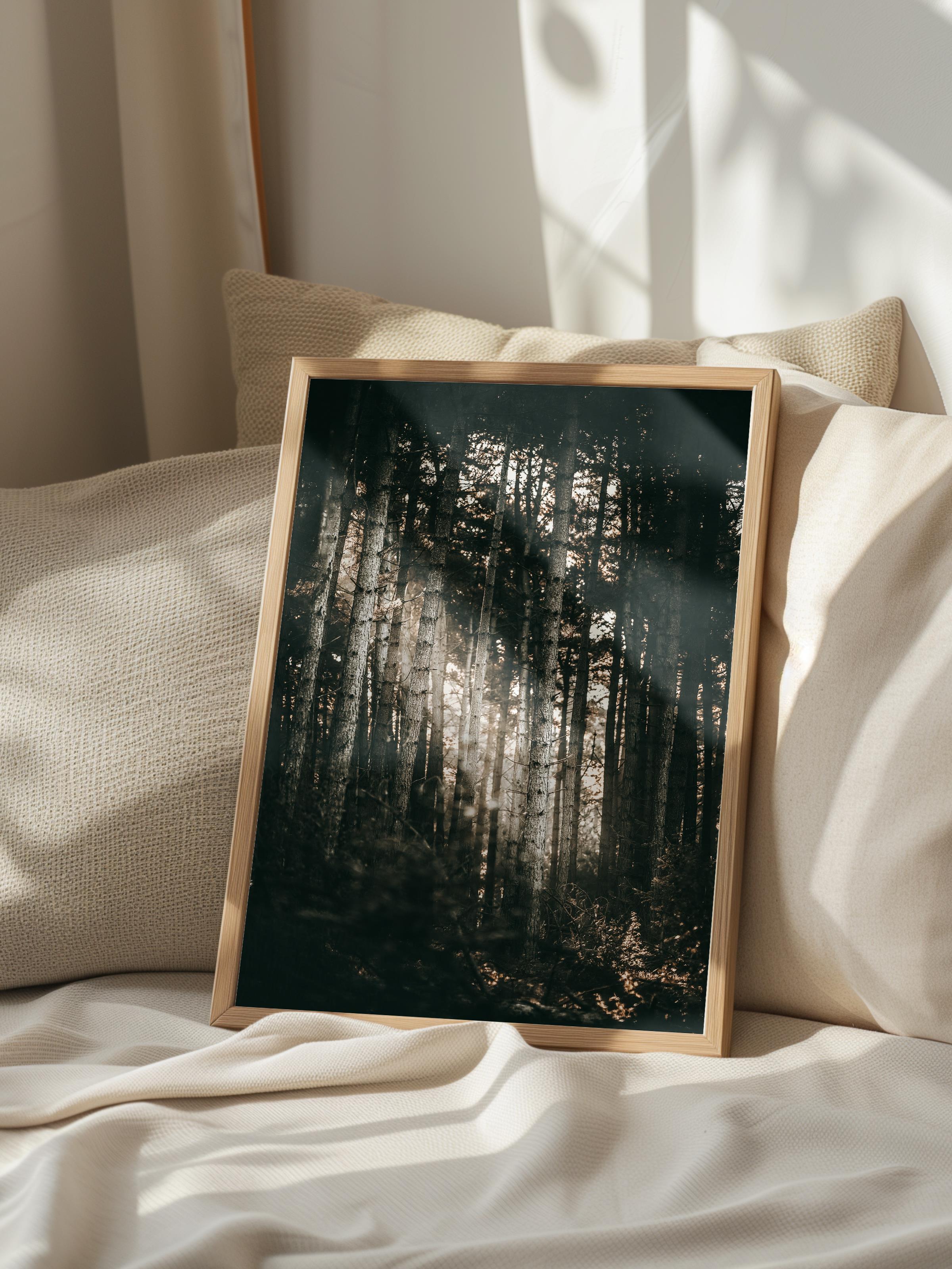Rustic Çerçevesiz Poster, İskandinav Kahverengi Poster, NO:463 Orman Fotoğraf