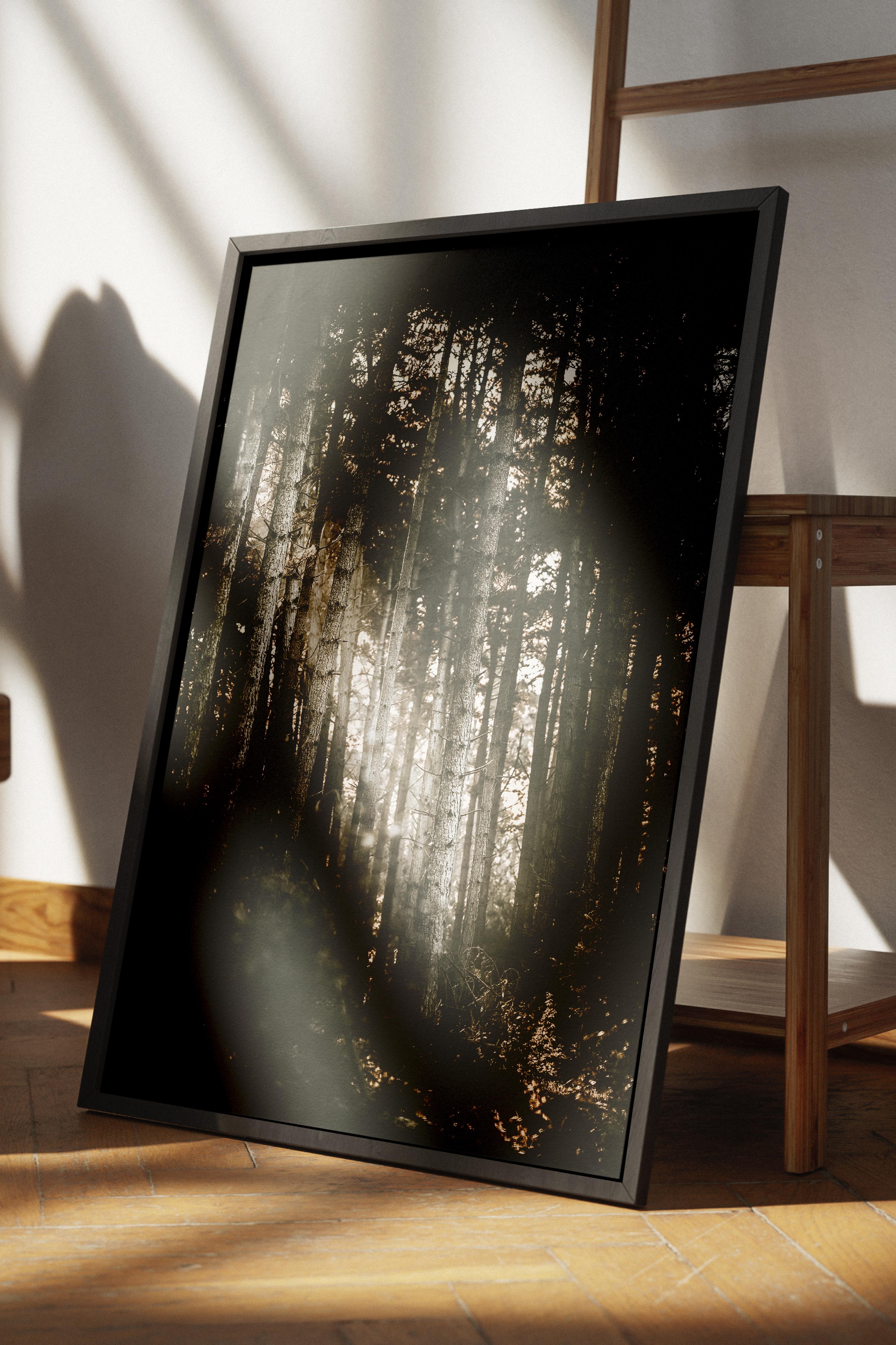 Rustic Çerçevesiz Poster, İskandinav Kahverengi Poster, NO:463 Orman Fotoğraf