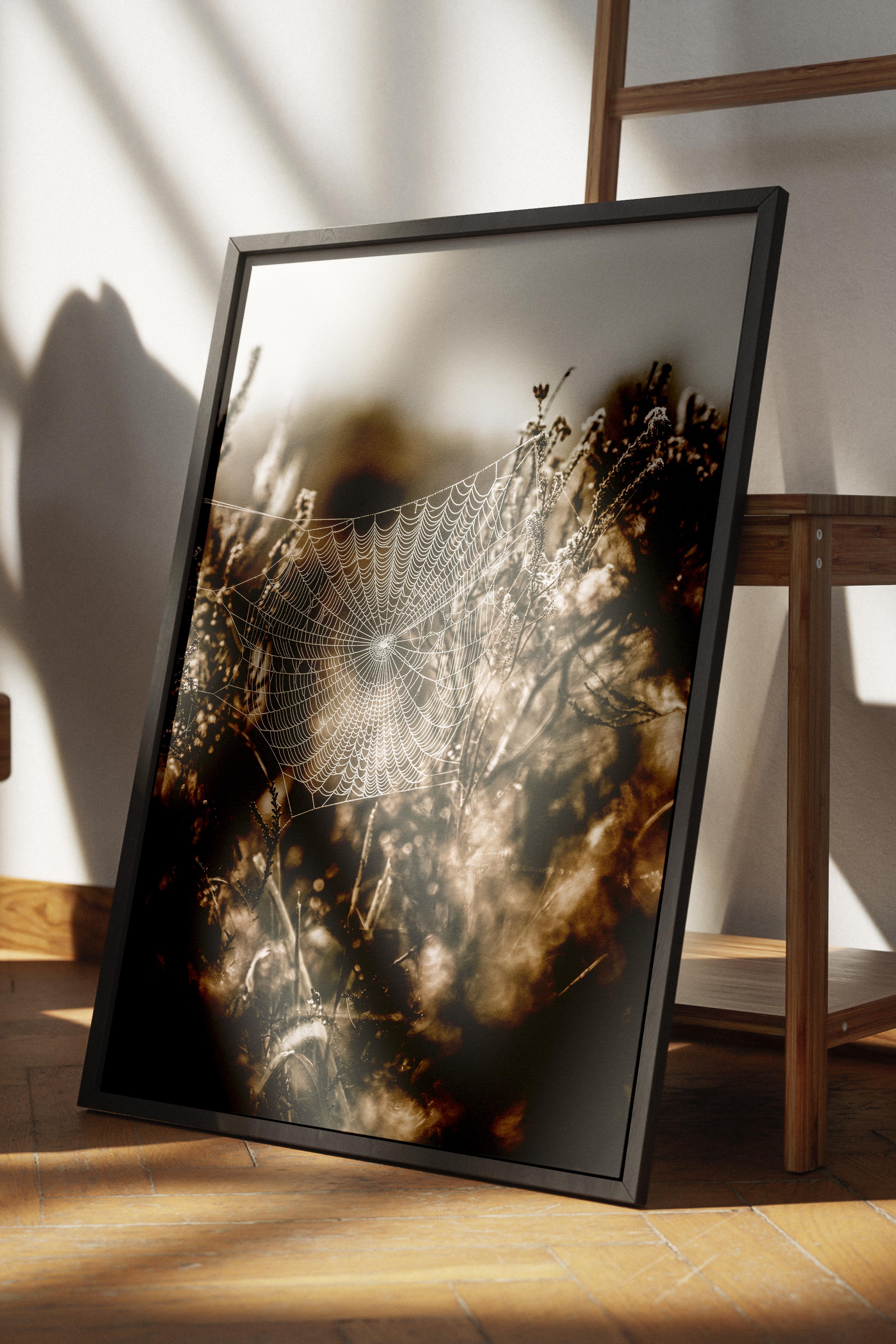 Rustic Çerçevesiz Poster, İskandinav Kahverengi Poster, NO:465 Çiçekler Fotoğraf