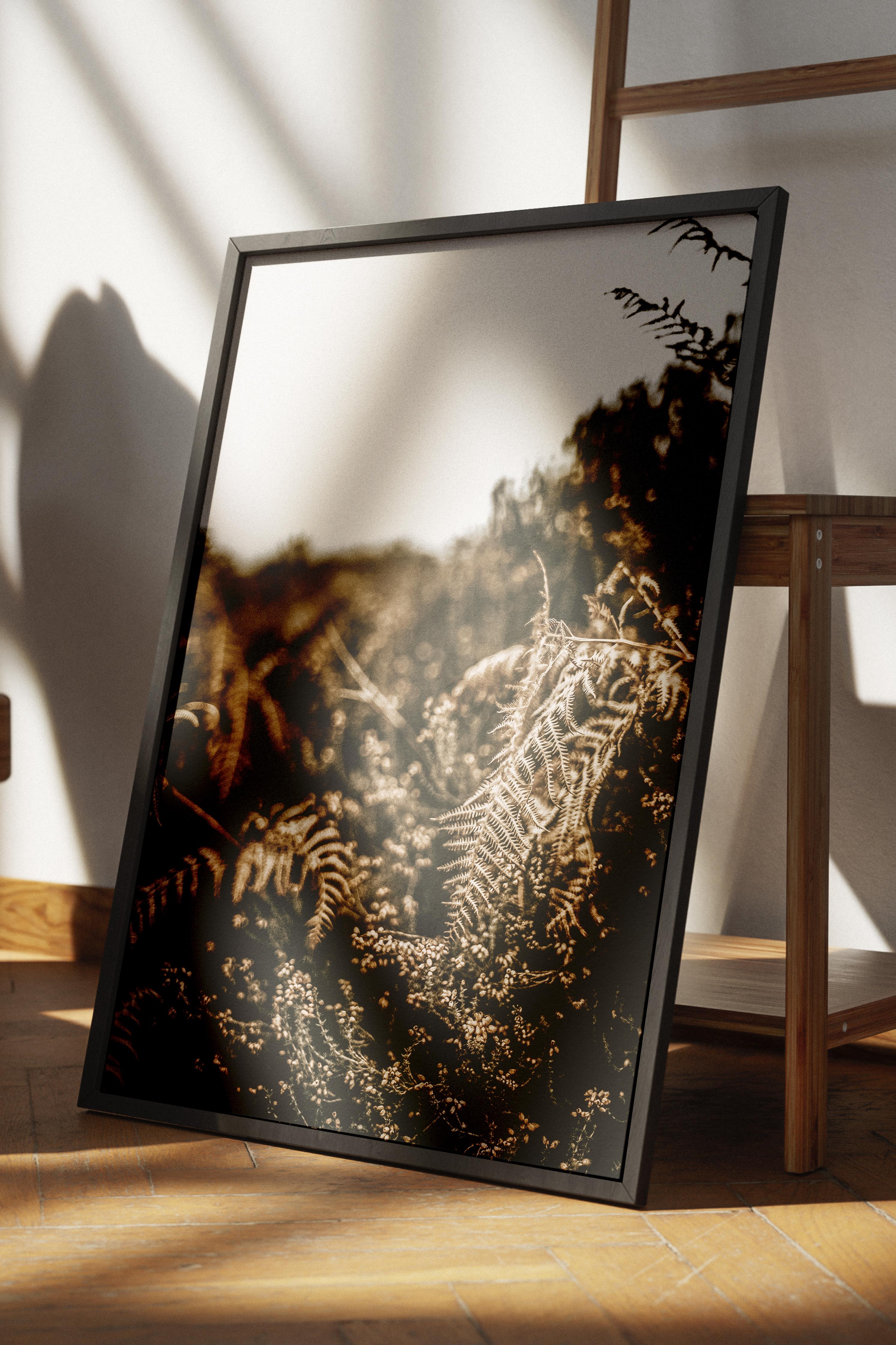 Rustic Çerçevesiz Poster, İskandinav Kahverengi Poster, NO:466 Eğrelti Otu Fotoğraf