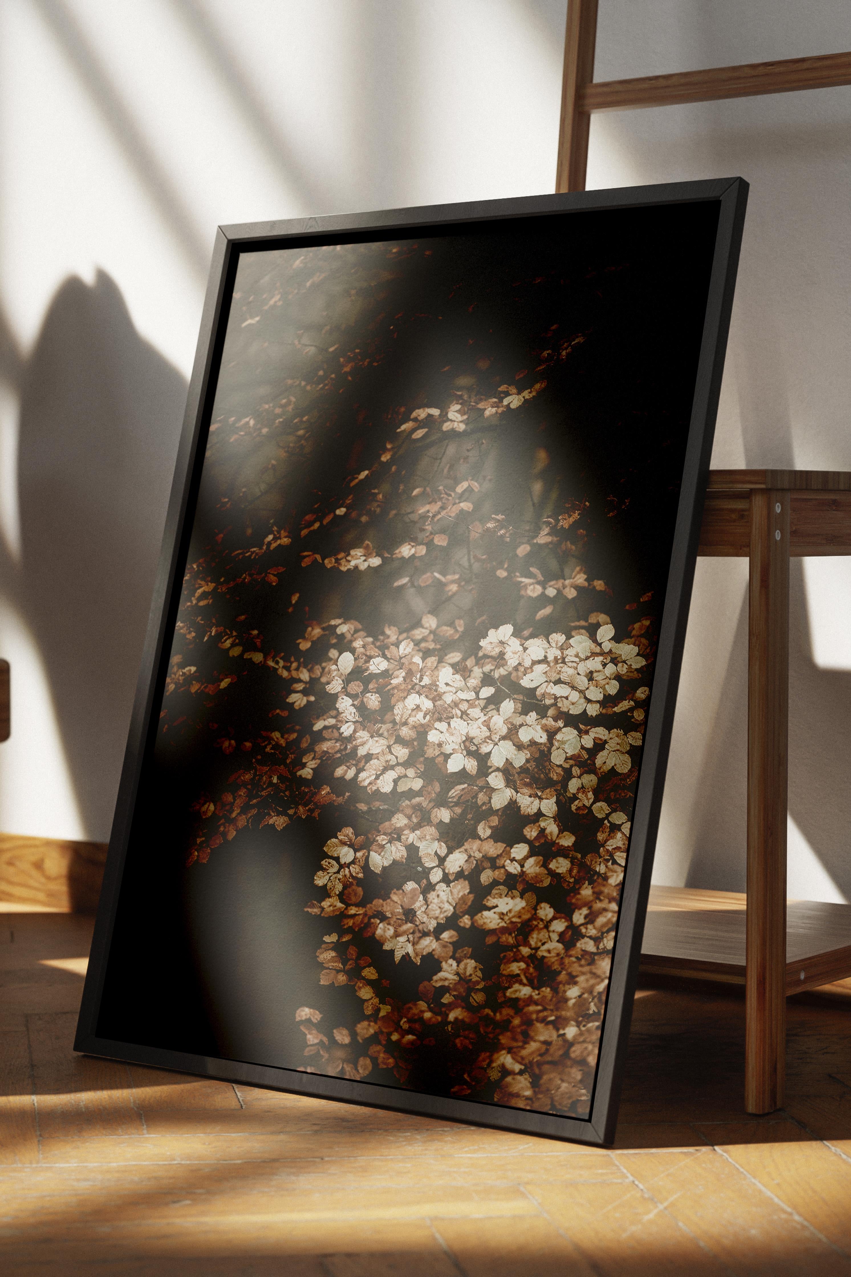 Rustic Çerçevesiz Poster, İskandinav Kahverengi Poster, NO:467 Orman Fotoğraf