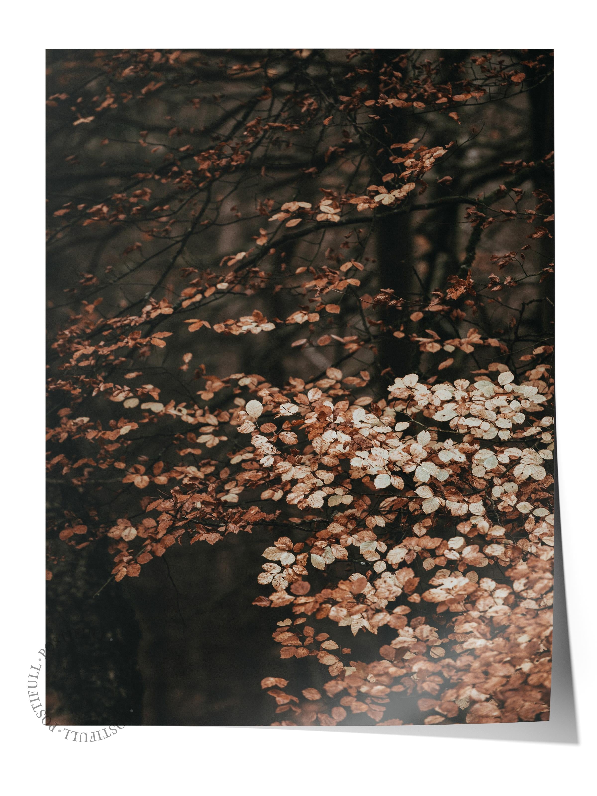 Rustic Çerçevesiz Poster, İskandinav Kahverengi Poster, NO:467 Orman Fotoğraf