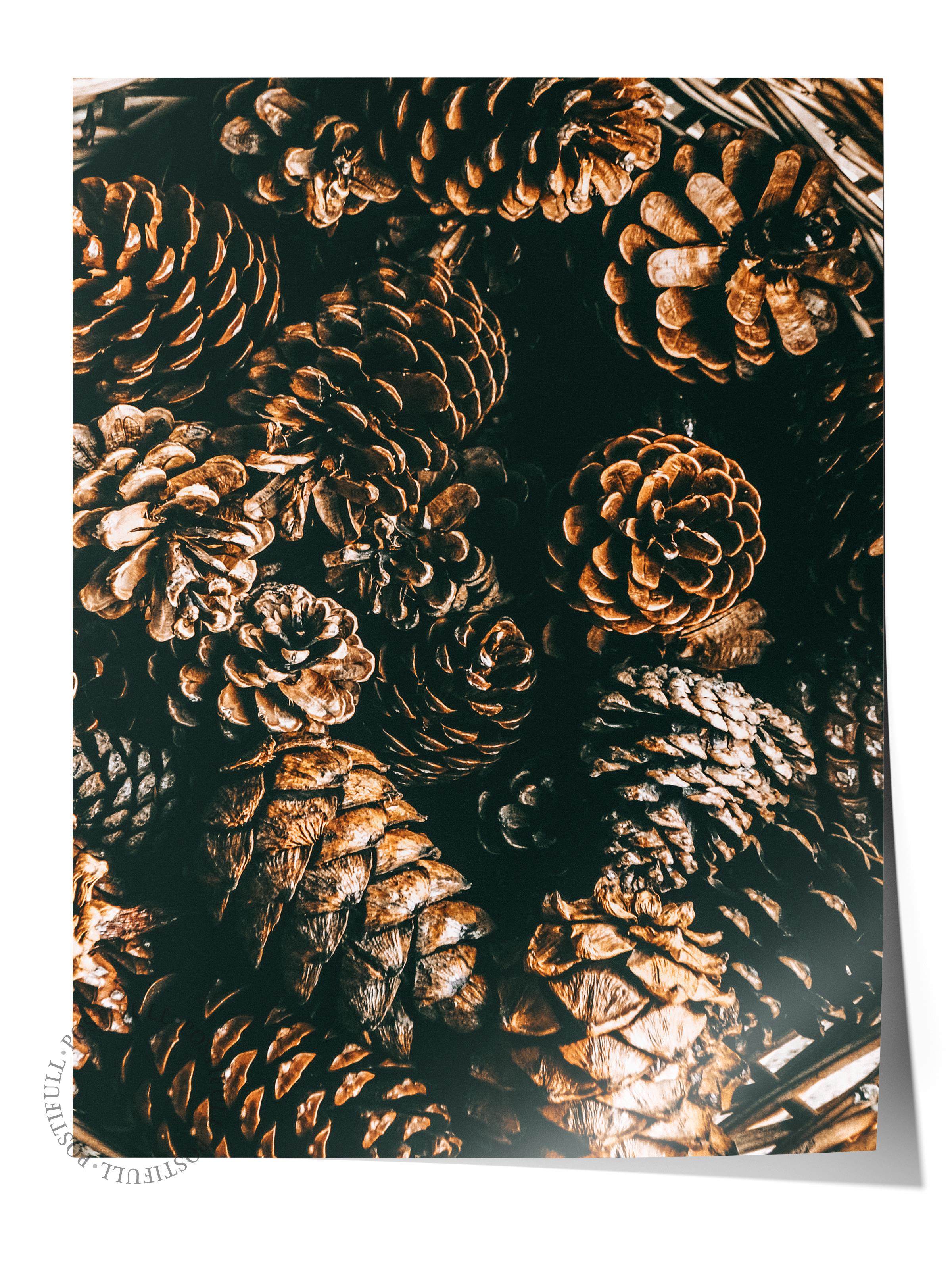 Rustic Çerçevesiz Poster, İskandinav Kahverengi Poster, NO:468 Kozalaklar Fotoğraf