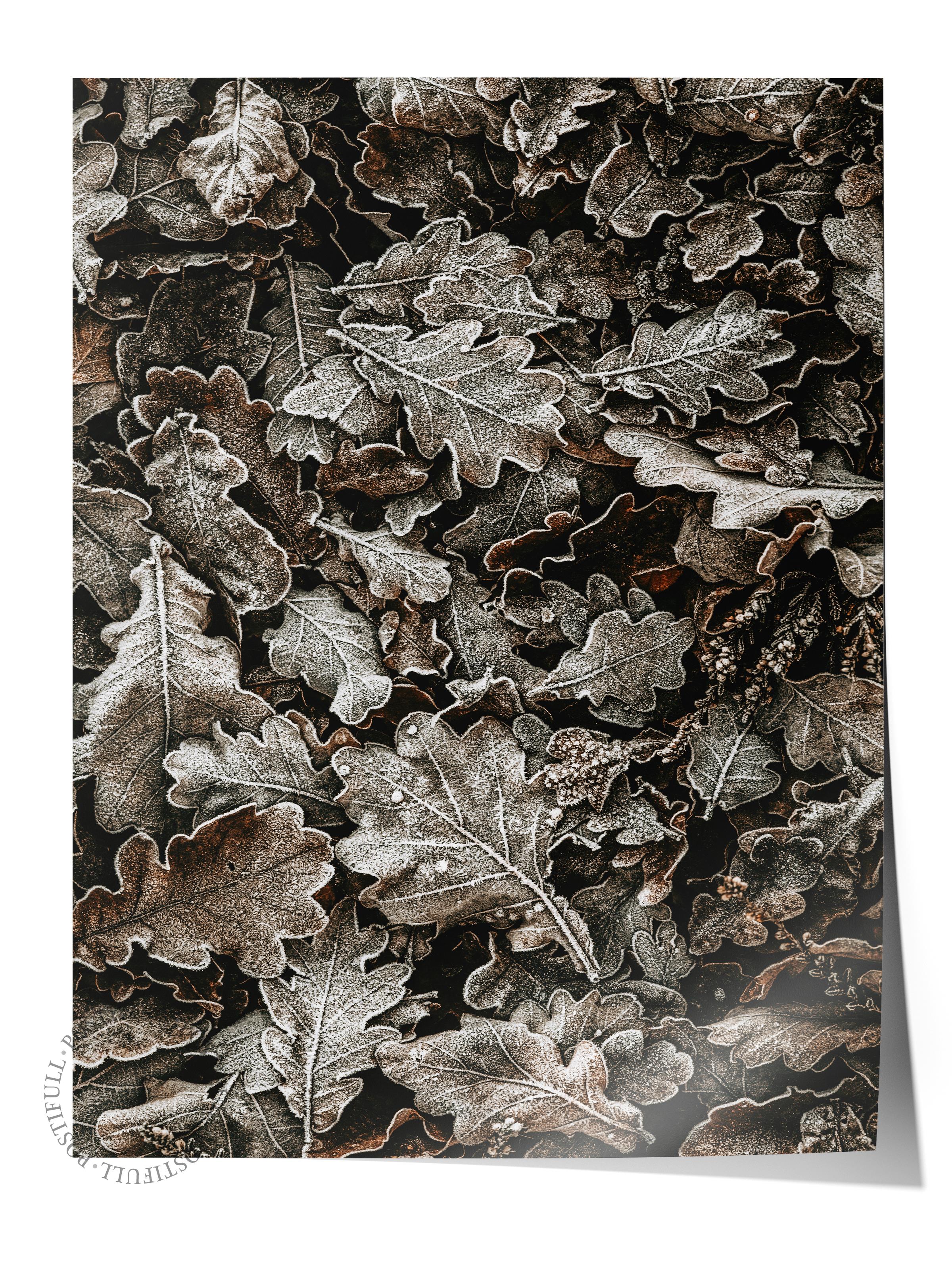 Rustic Çerçevesiz Poster, İskandinav Kahverengi Poster, NO:469 Yapraklar Fotoğraf