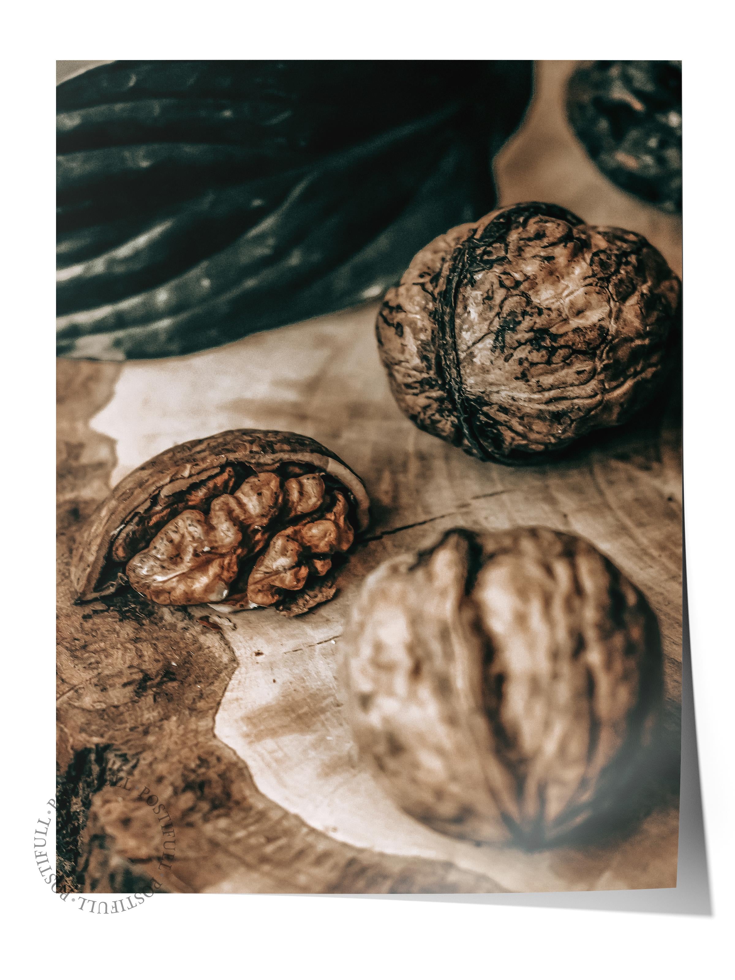 Rustic Çerçevesiz Poster, İskandinav Kahverengi Poster, NO:471 Kabaklar Fotoğraf